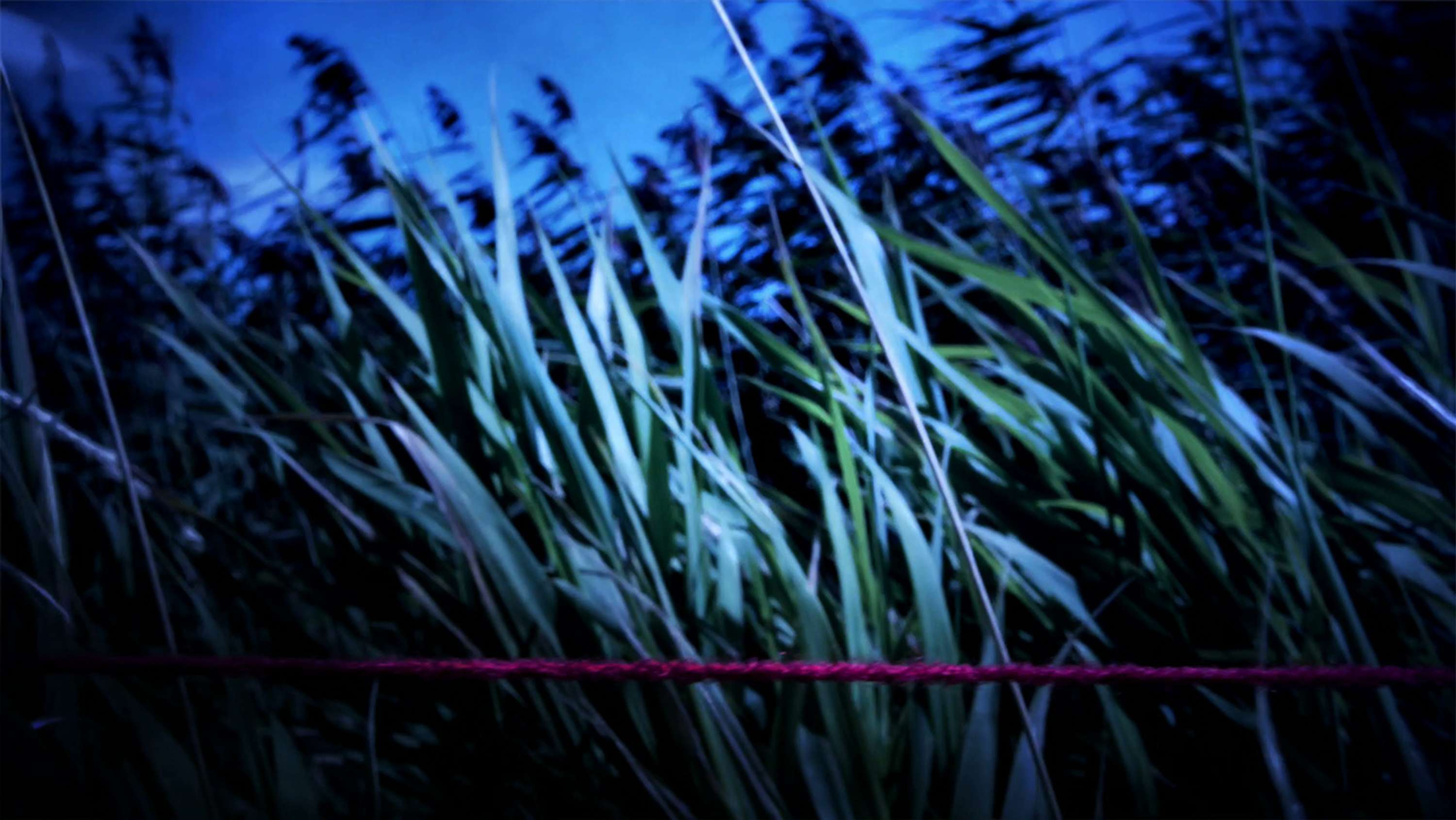 THREADS [immersive AV] by david ian bickley