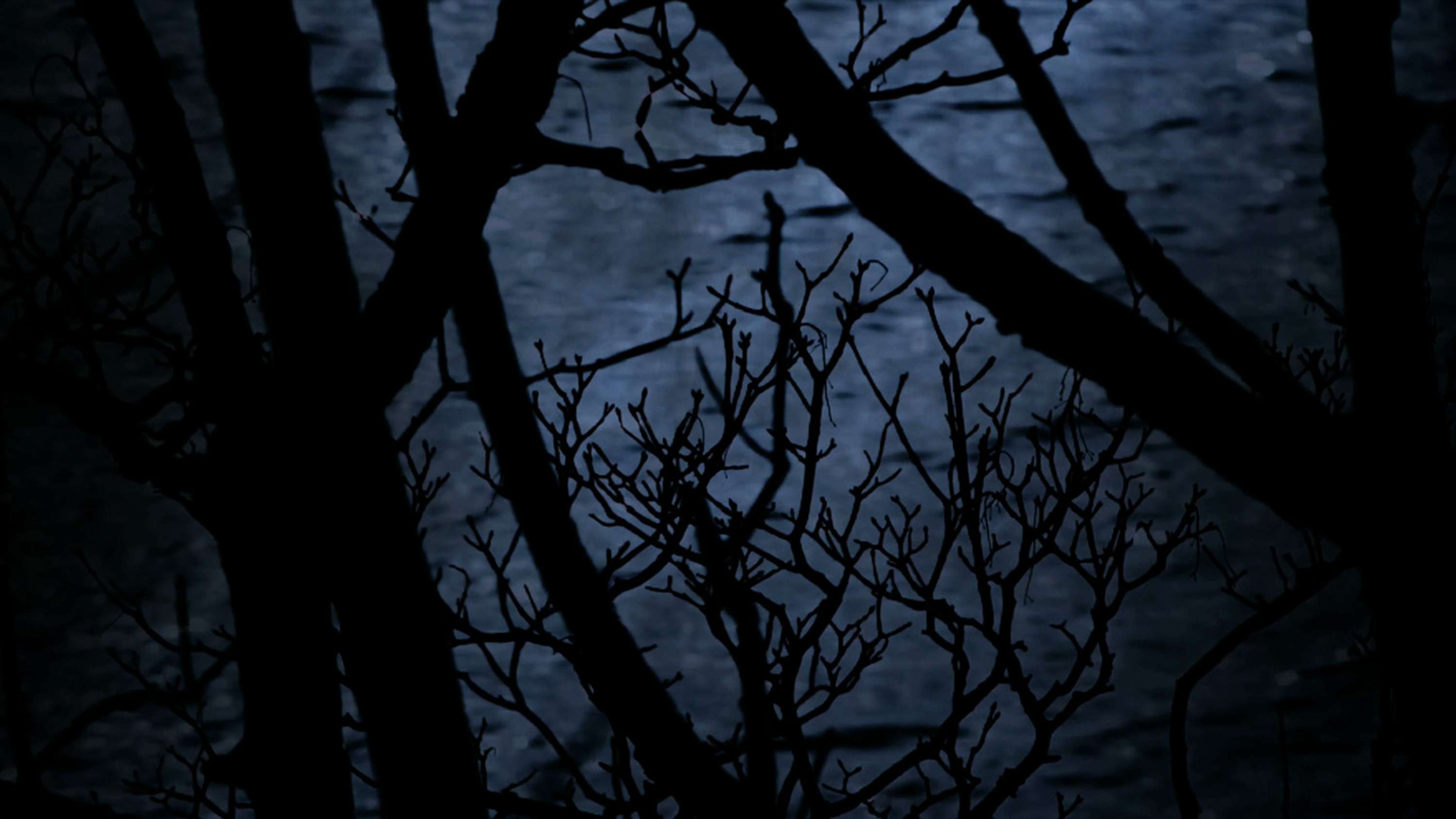 THREADS [immersive AV] by david ian bickley