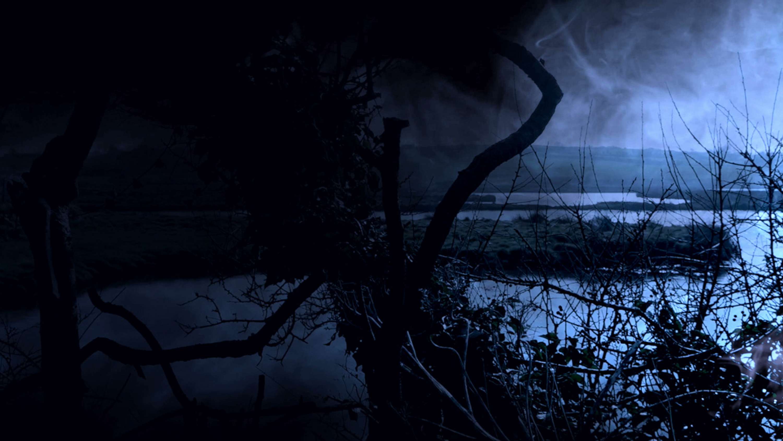 THREADS [immersive AV] by david ian bickley