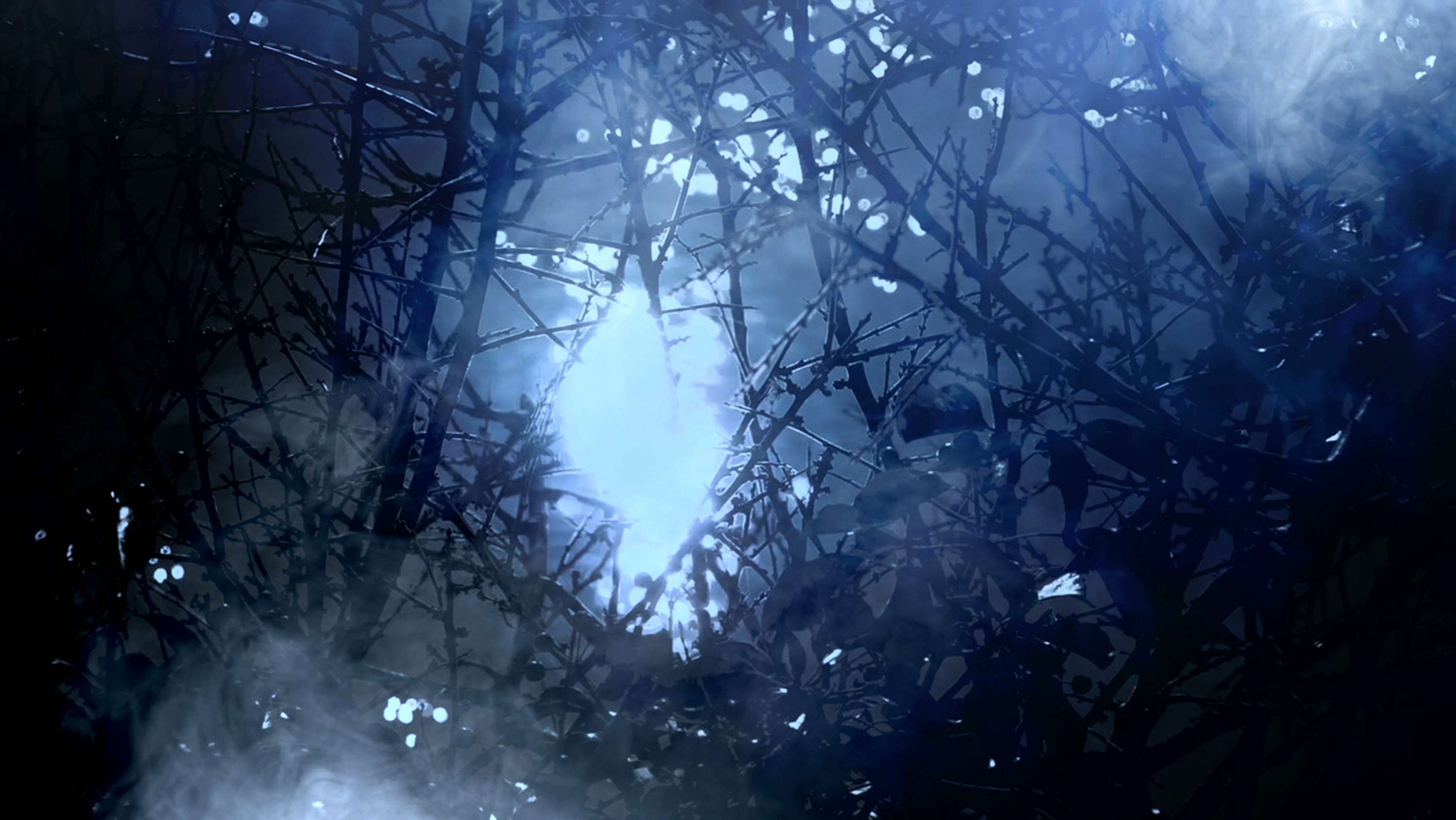 THREADS [immersive AV] by david ian bickley