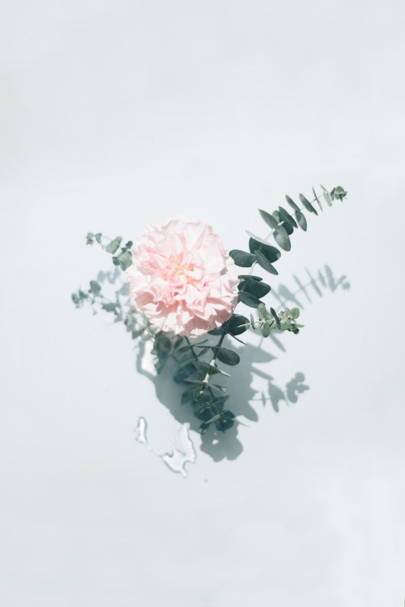 MATCHES MADE IN HEAVEN: Mastering Visual Communication by Fashion Heaven Inc.