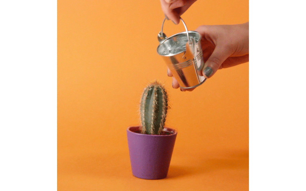It’s the world’s most enjoyable – and least wasteful – gift list by Do The Green Thing
