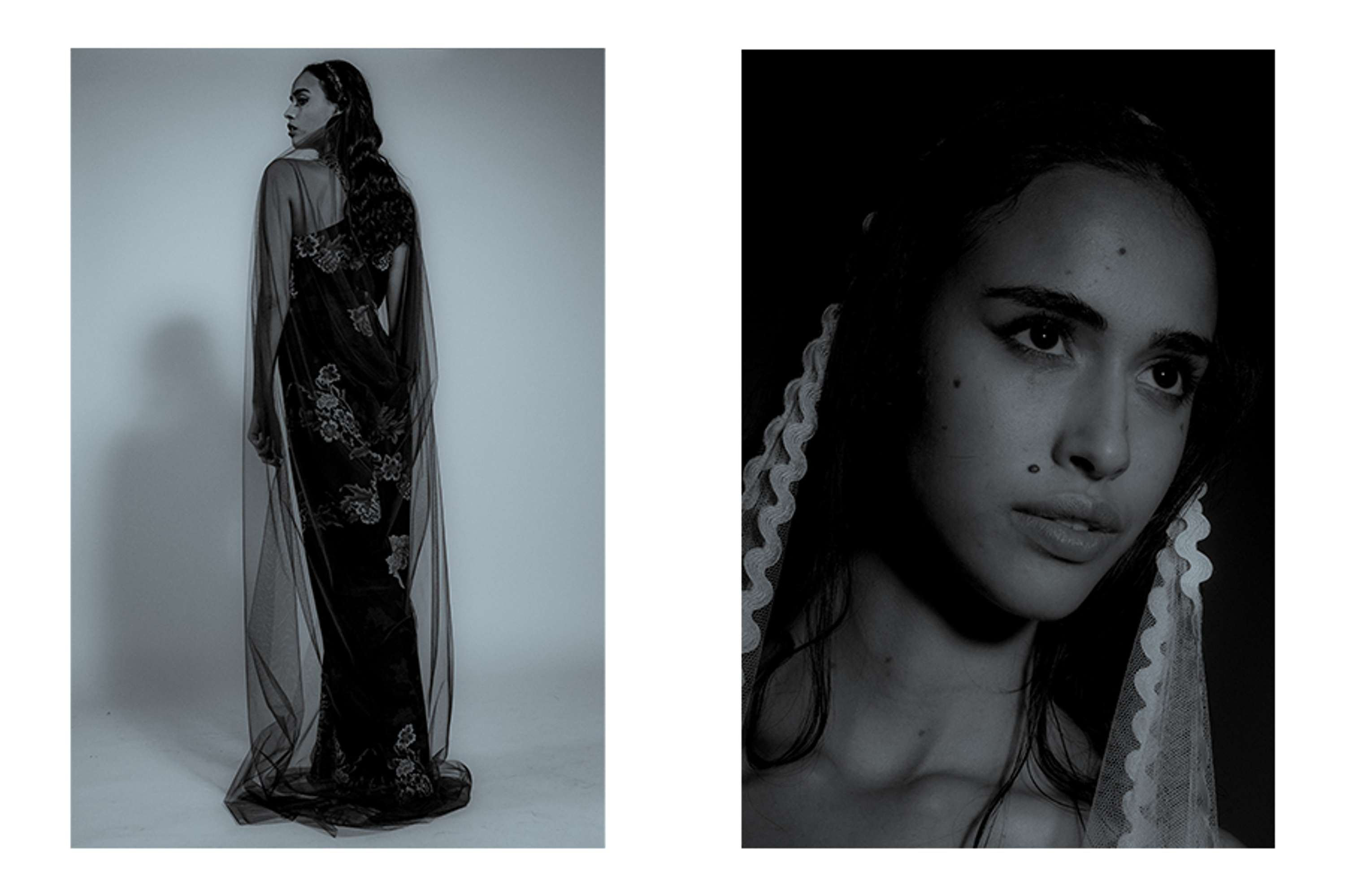 VEIL by CHRISIA BORDA