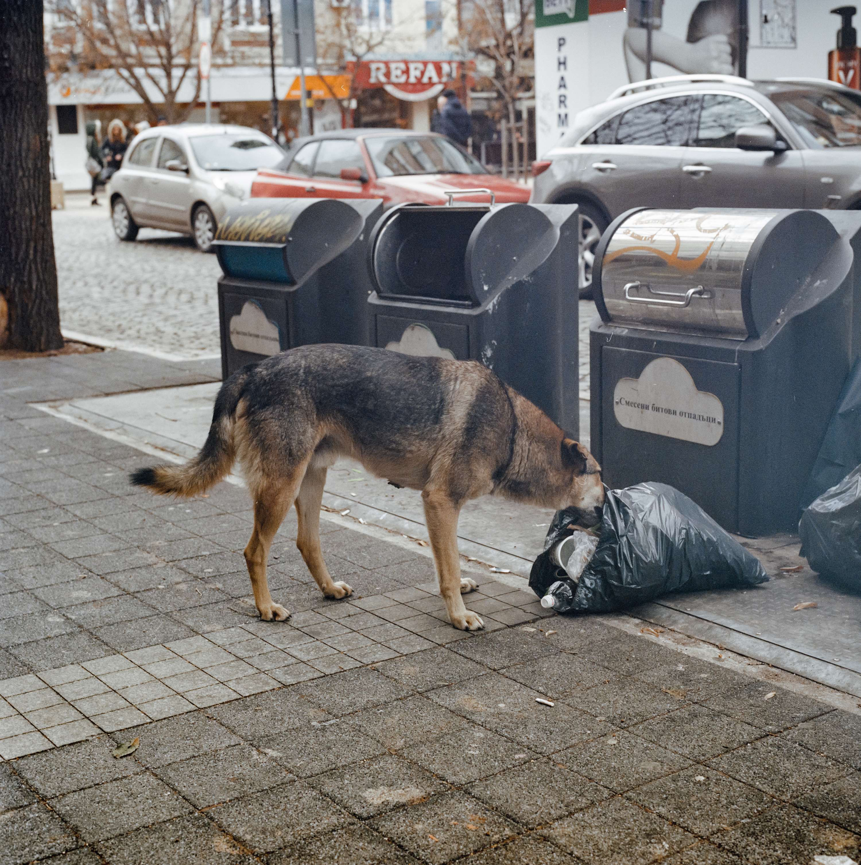 Bulgaria by Yassen Grigorov