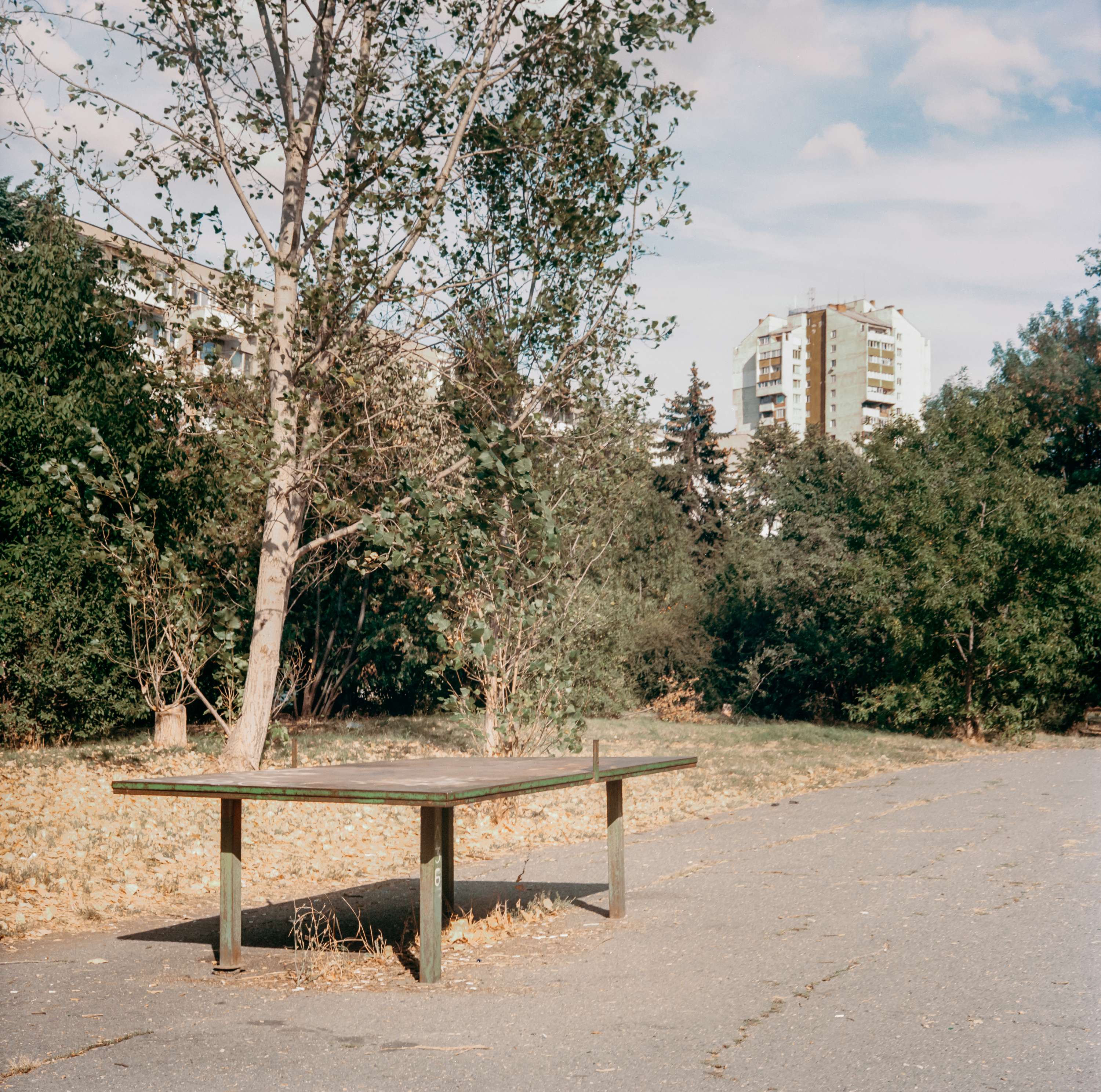 Bulgaria by Yassen Grigorov