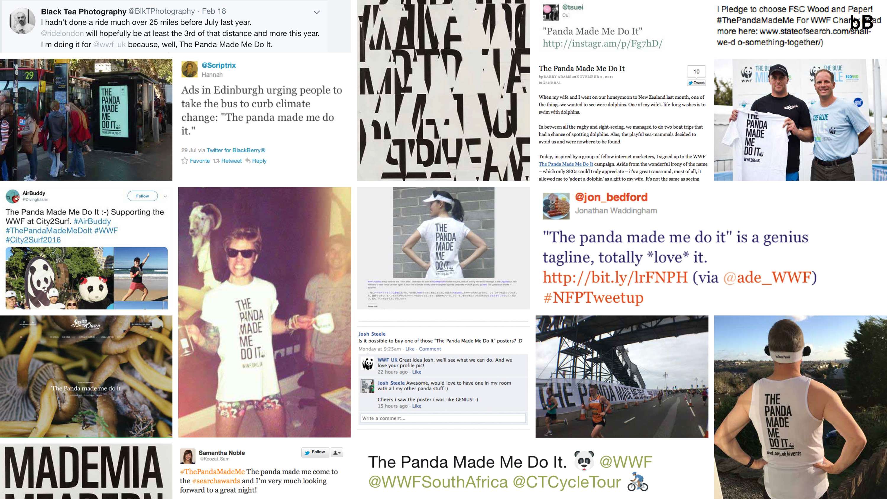 WWF. The Panda made me do it. by Barry Tranter