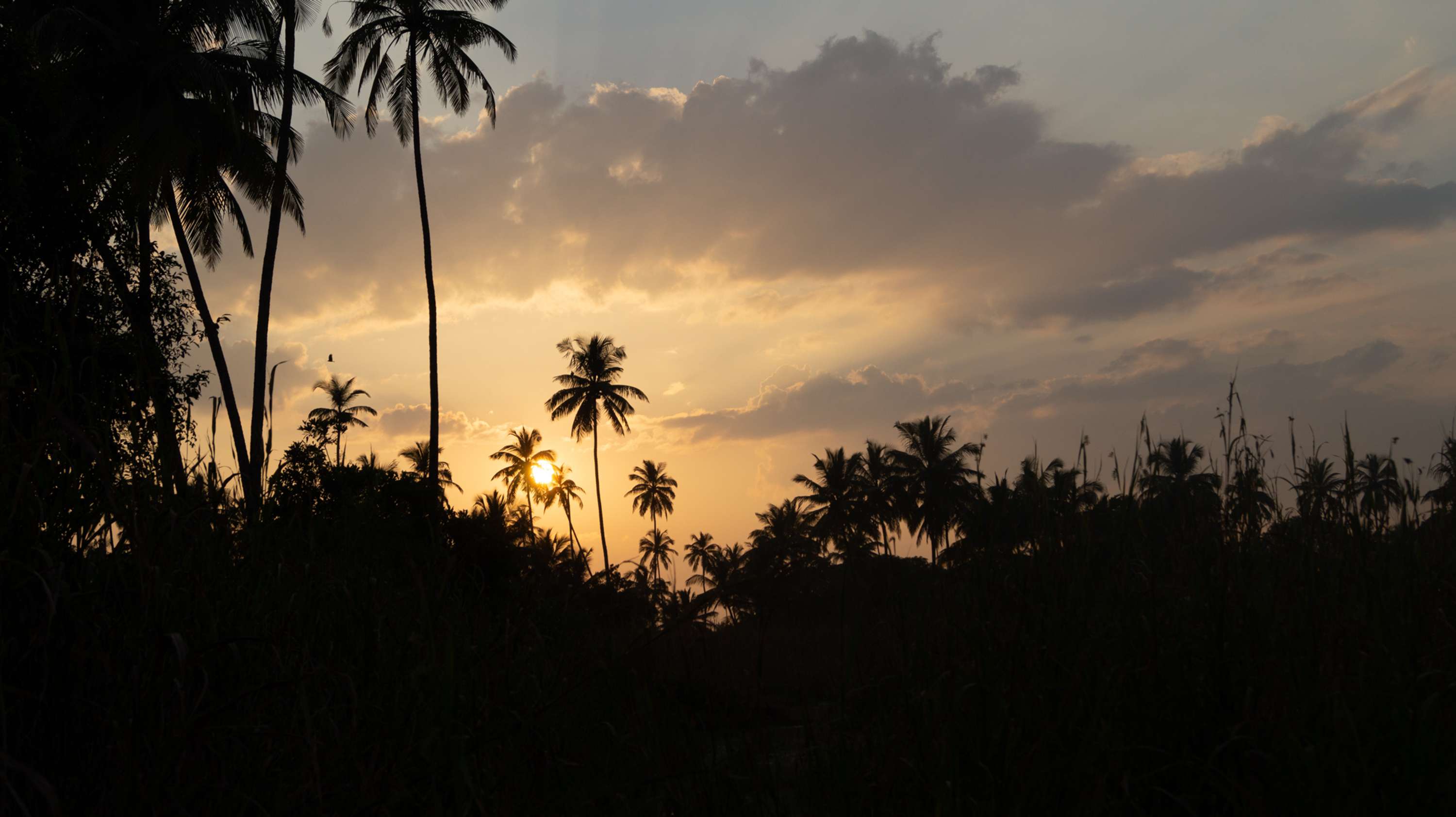 Capturing Home by Gurleen Raj