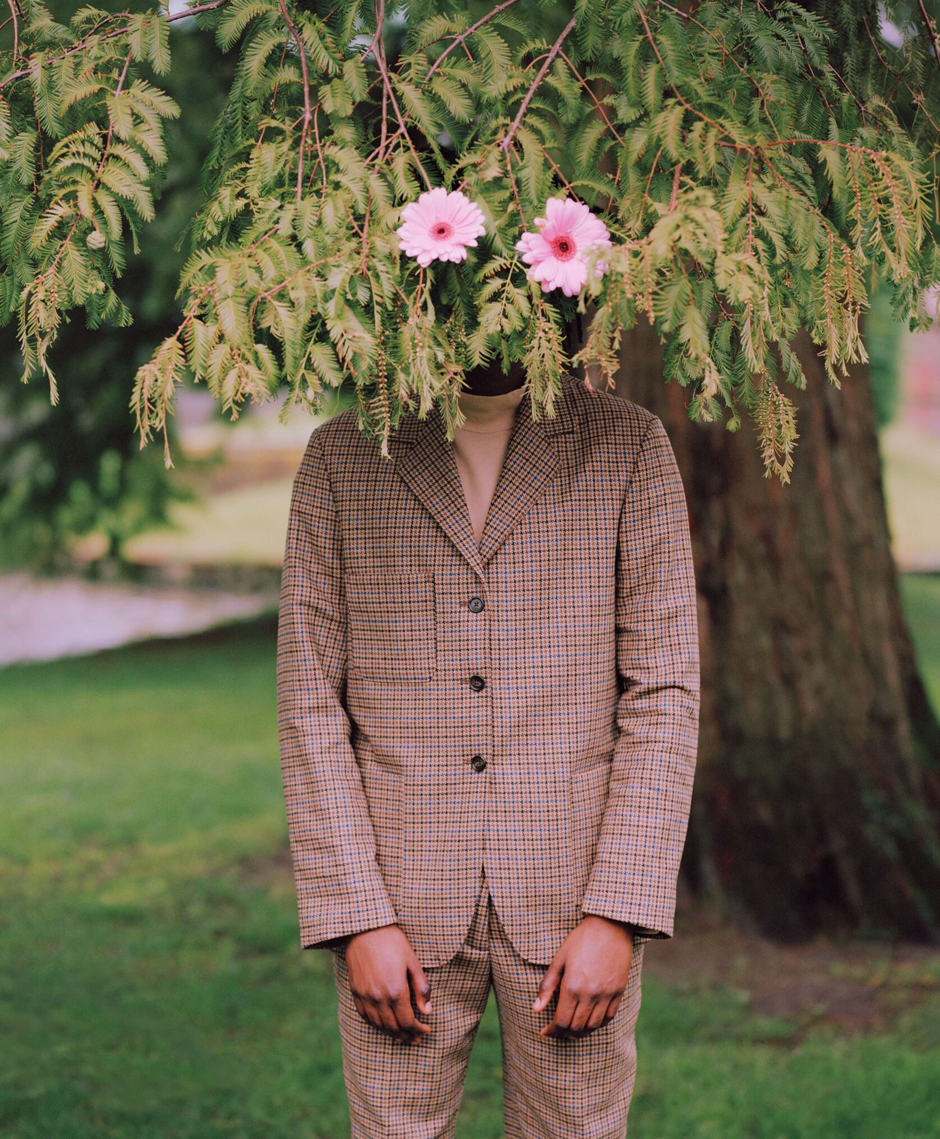 TAKE ANOTHER LOOK by Ace & Tate