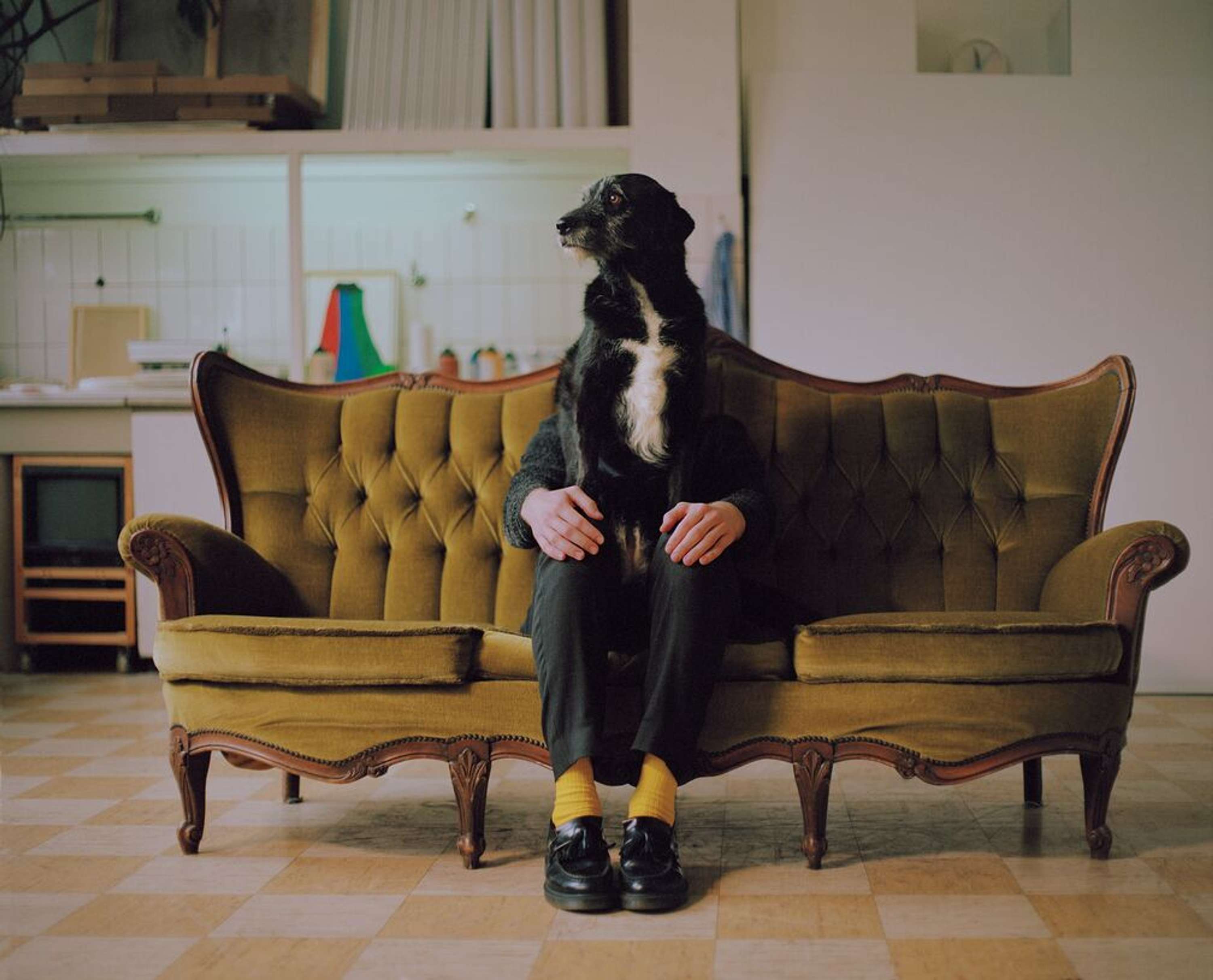 TAKE ANOTHER LOOK by Ace & Tate