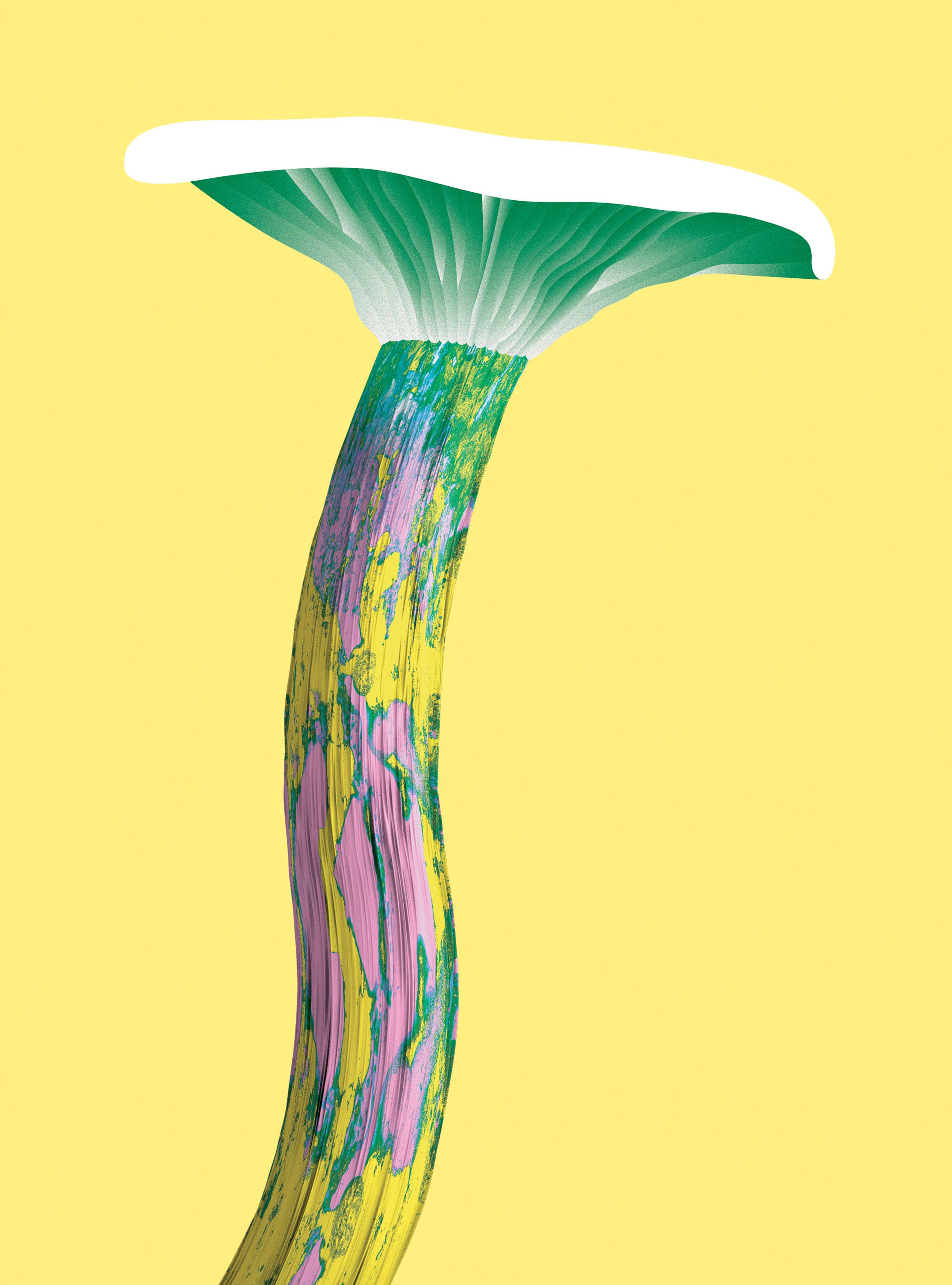 The Wild Mushroom Cookbook by Sofia Pusa