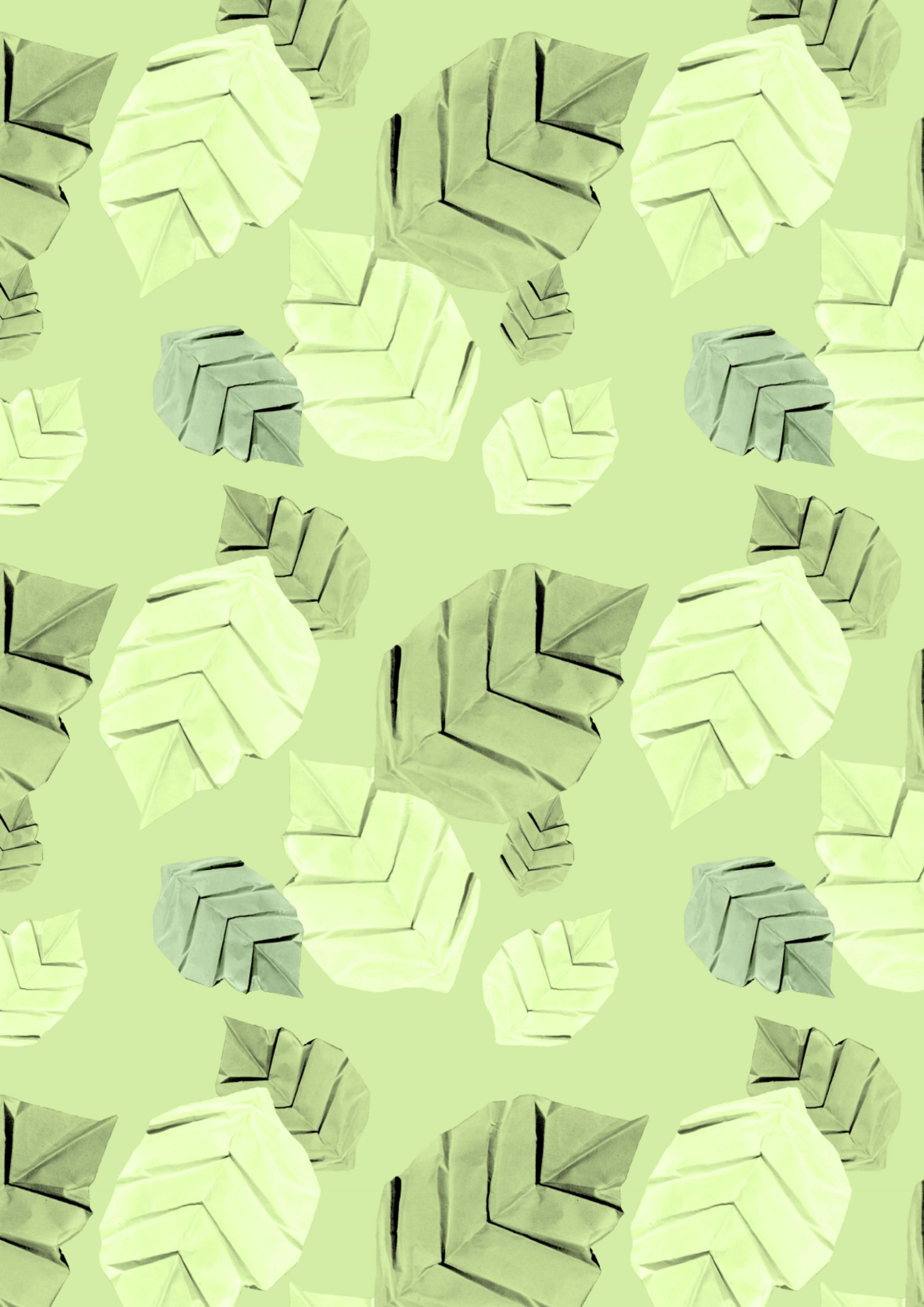 DFS Brief : Capsule Collection by Alisha Switzer