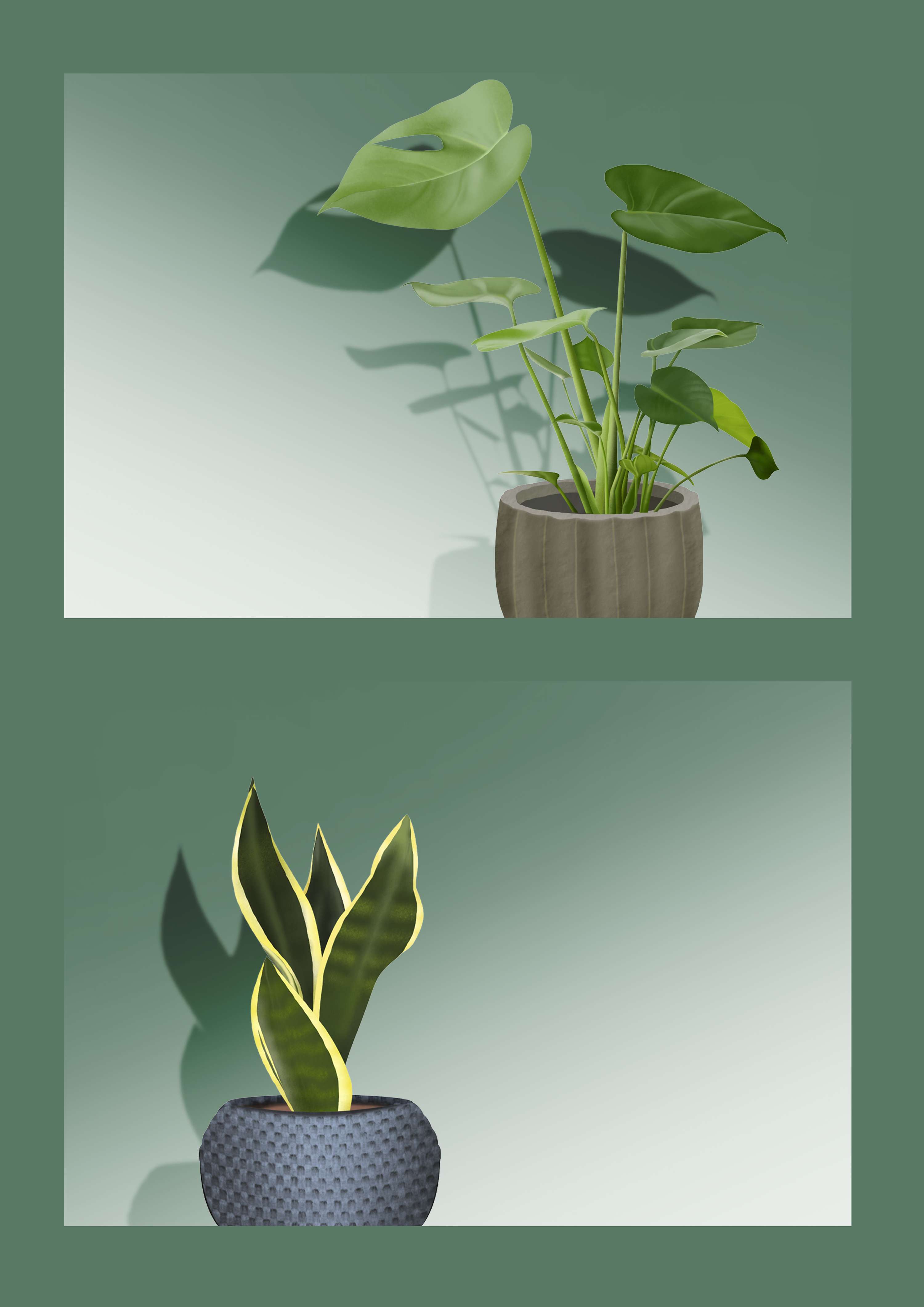 Plant UI/UX Concept by Zora Alexandra Korovic