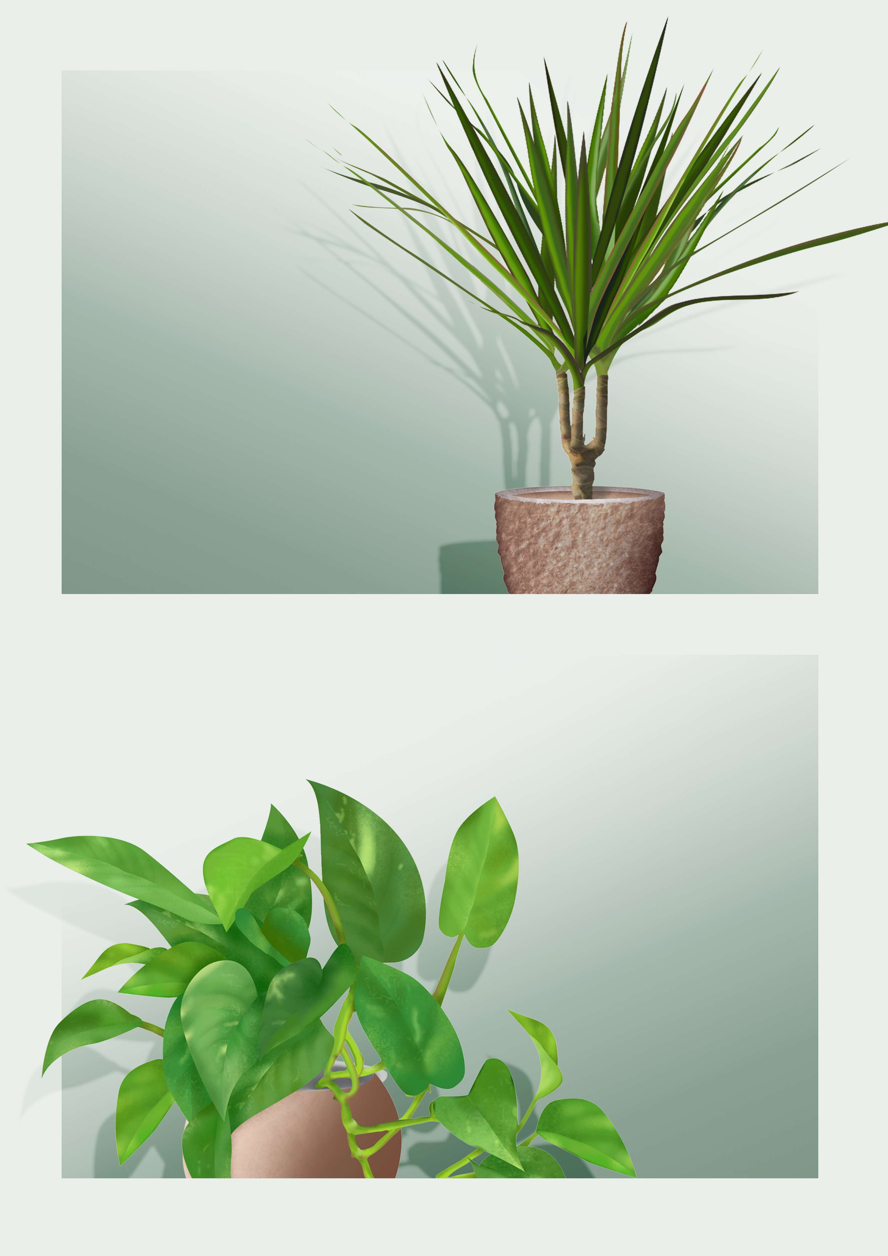Plant UI/UX Concept by Zora Alexandra Korovic