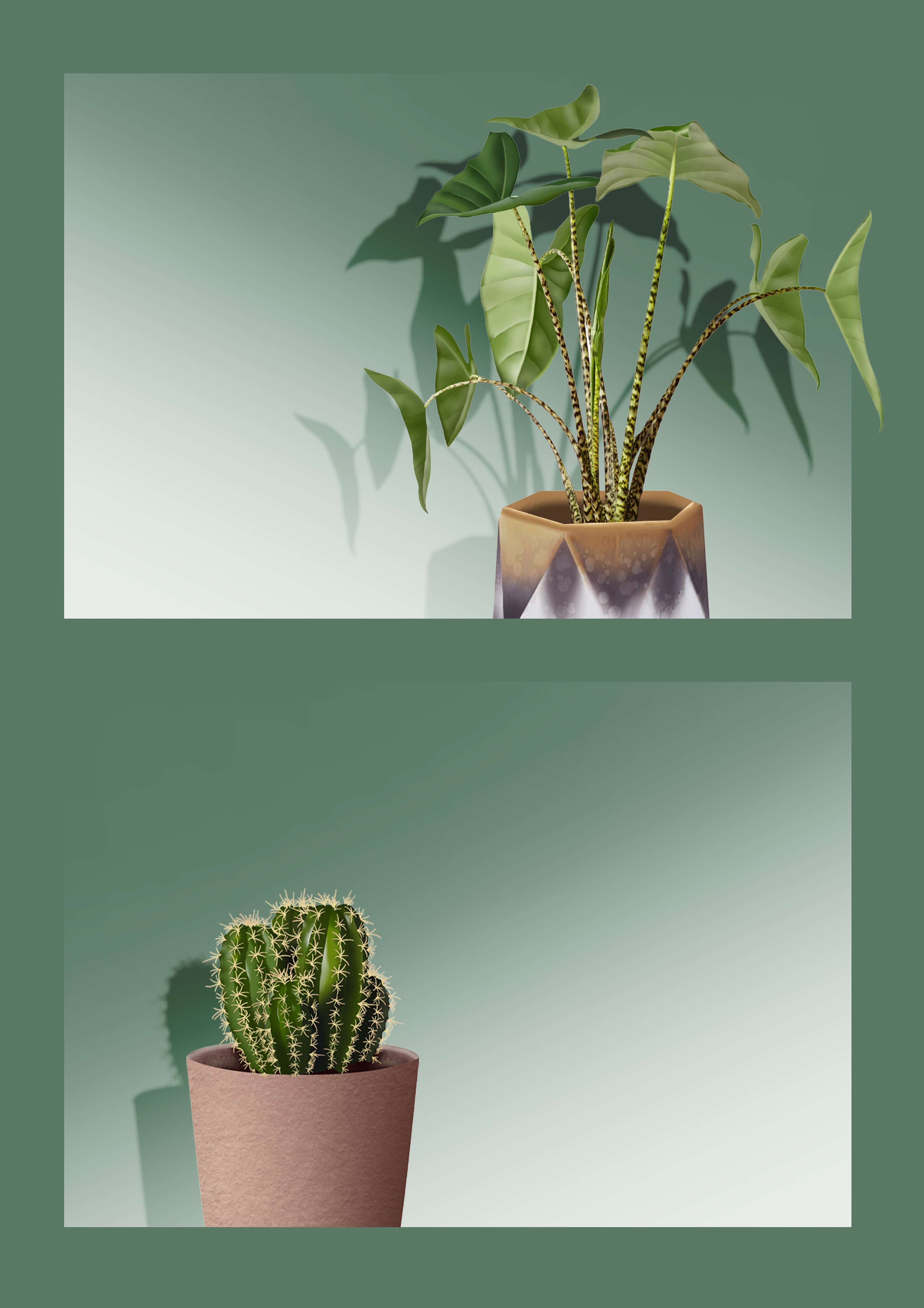 Plant UI/UX Concept by Zora Alexandra Korovic