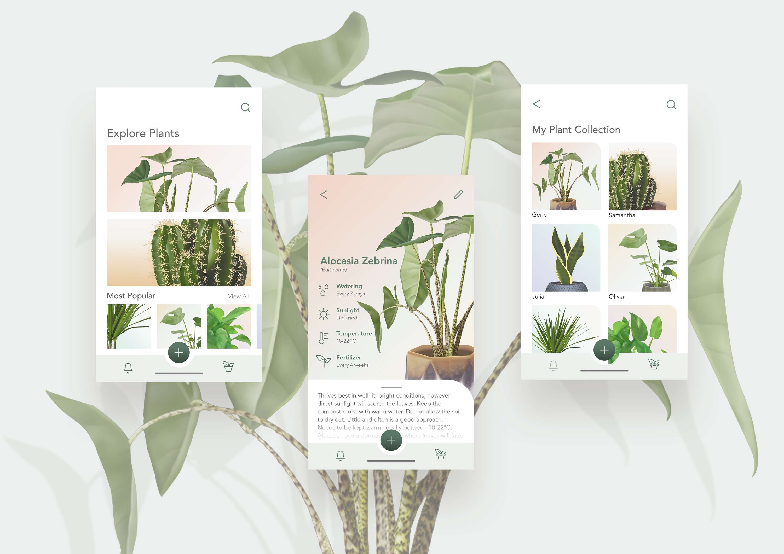 Plant UI/UX Concept by Zora Alexandra Korovic