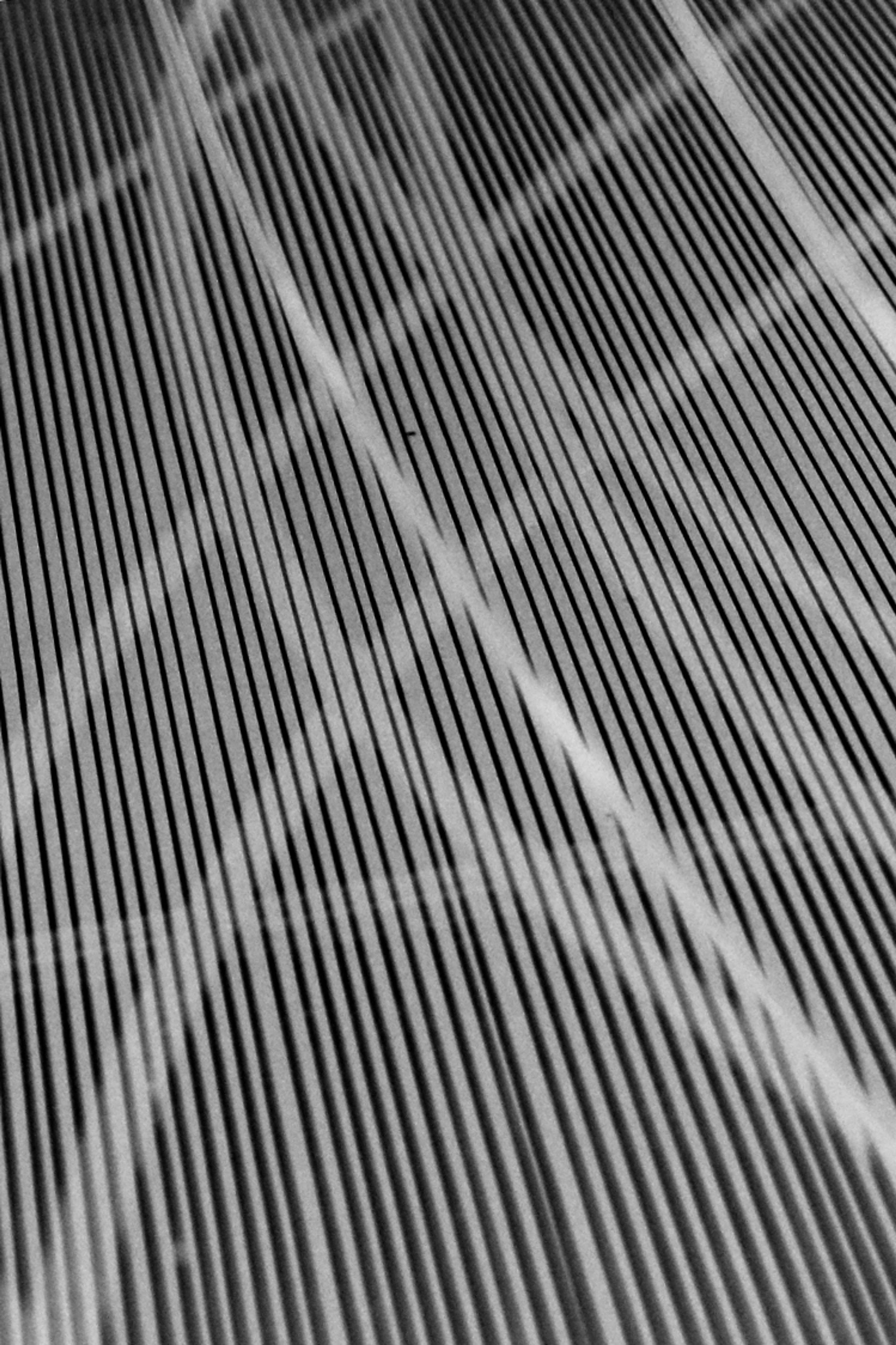 Architecture by Hanna Kantor