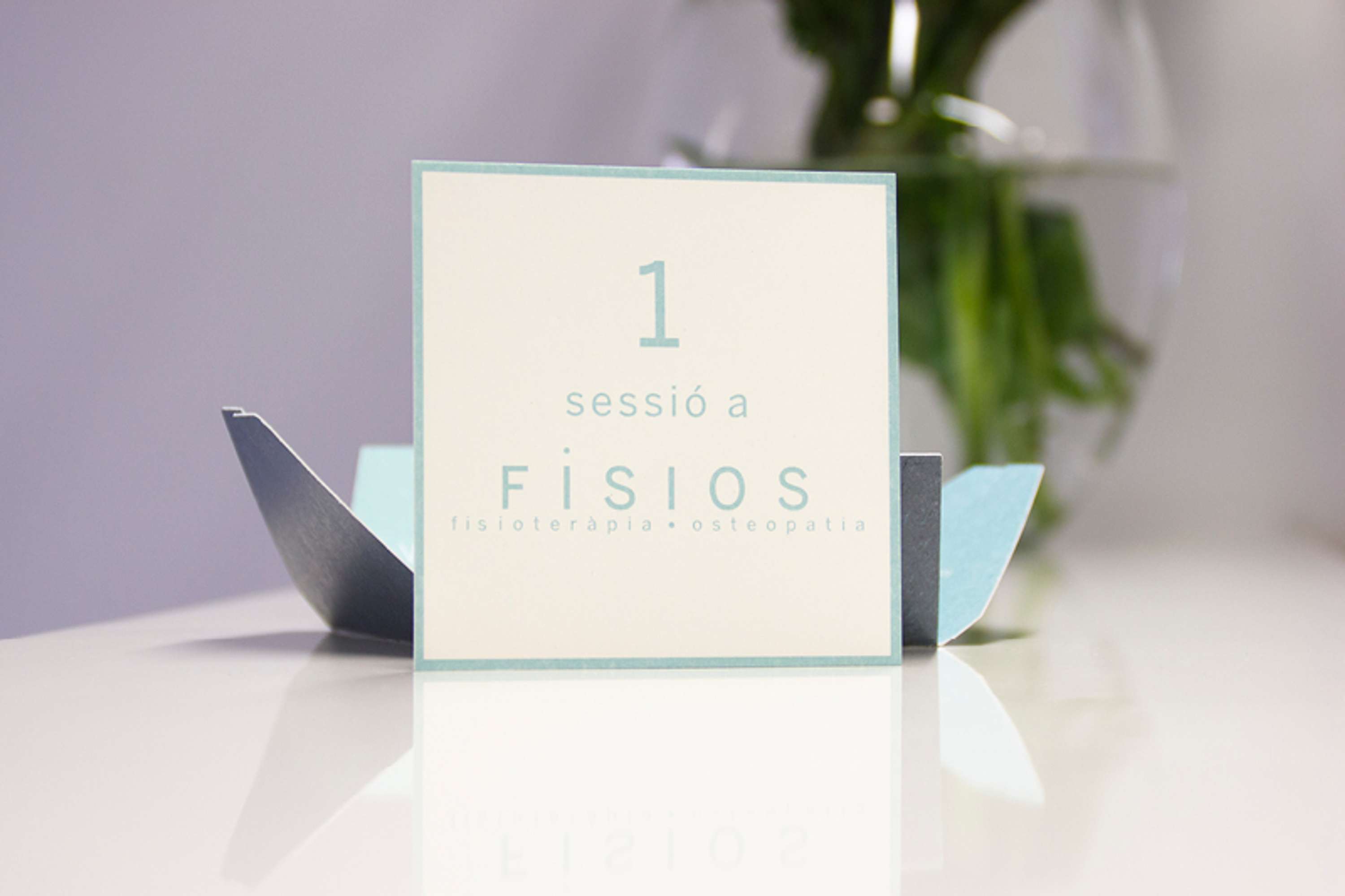 Branding and visual identity by Paula Pons