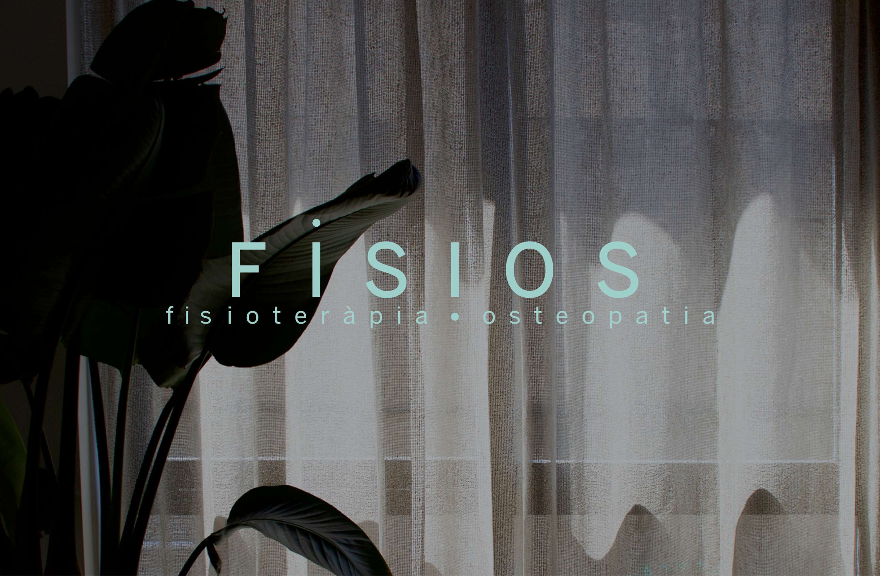 Branding and visual identity by Paula Pons