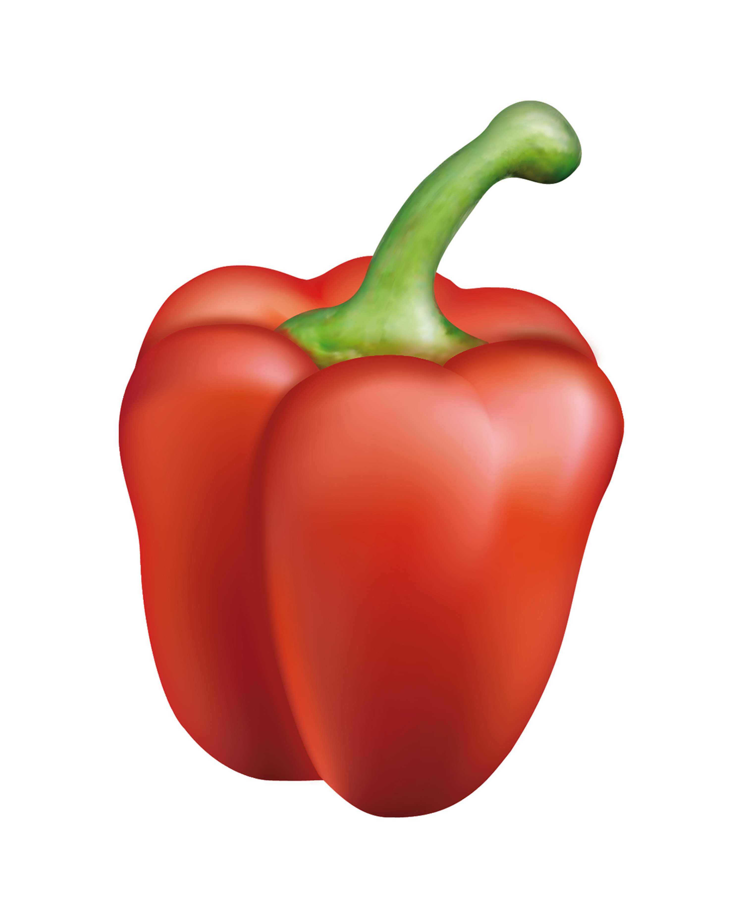 Pepper mesh by Matteo Mugnai