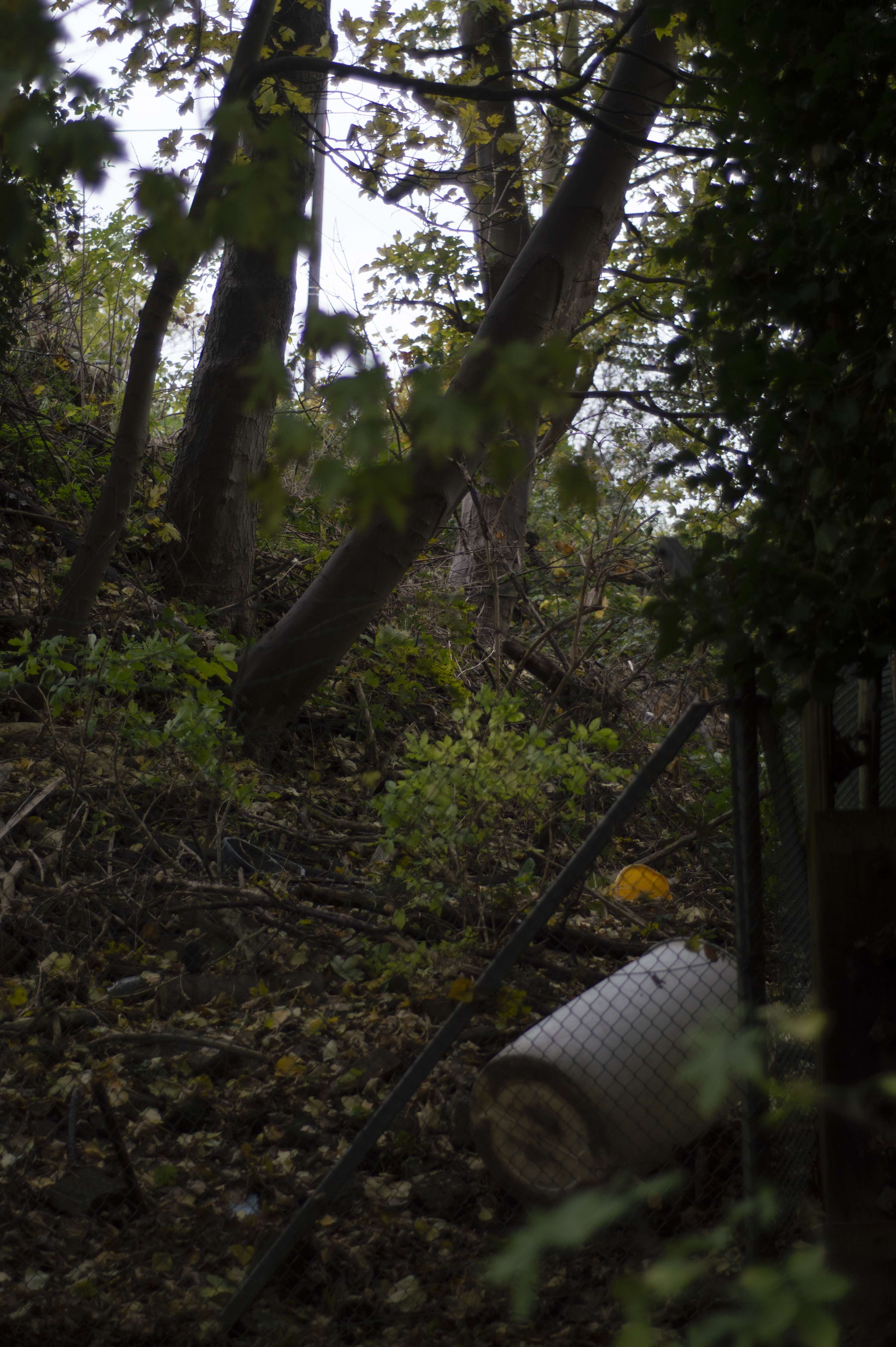 'The Edge' - Creativity Works: Visual Storytelling with Magnum Photos by Eric King