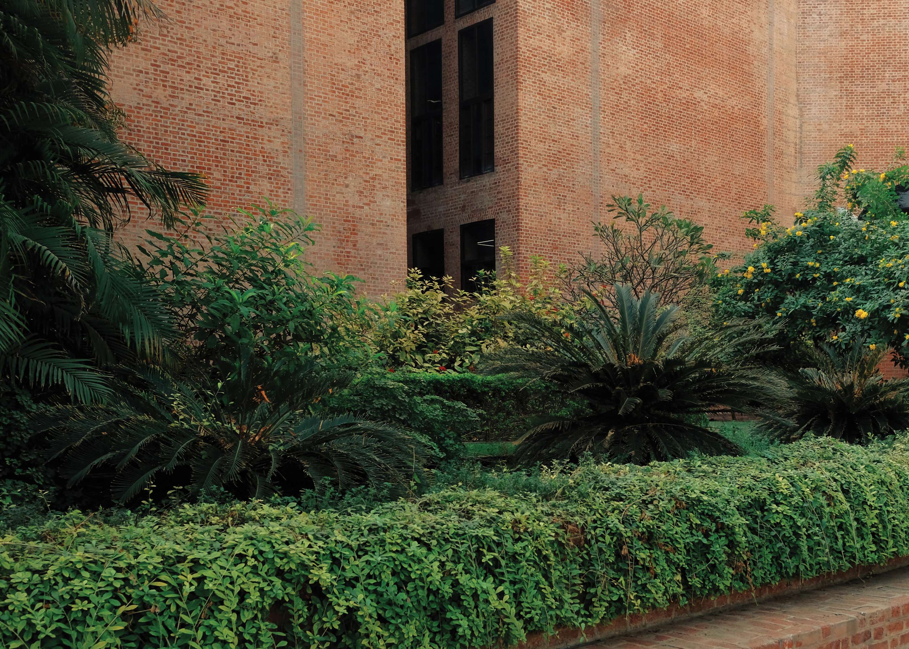 Lived In Louis Kahn by Daniel Norman