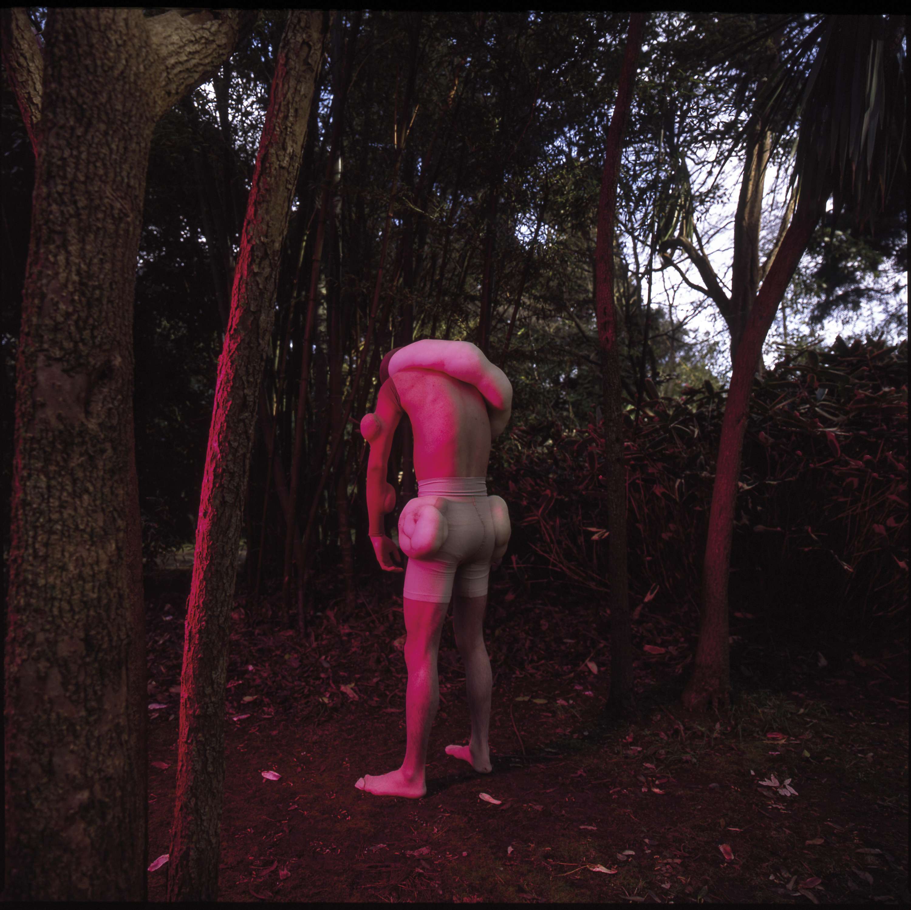 PULP by Kayesha Clarke