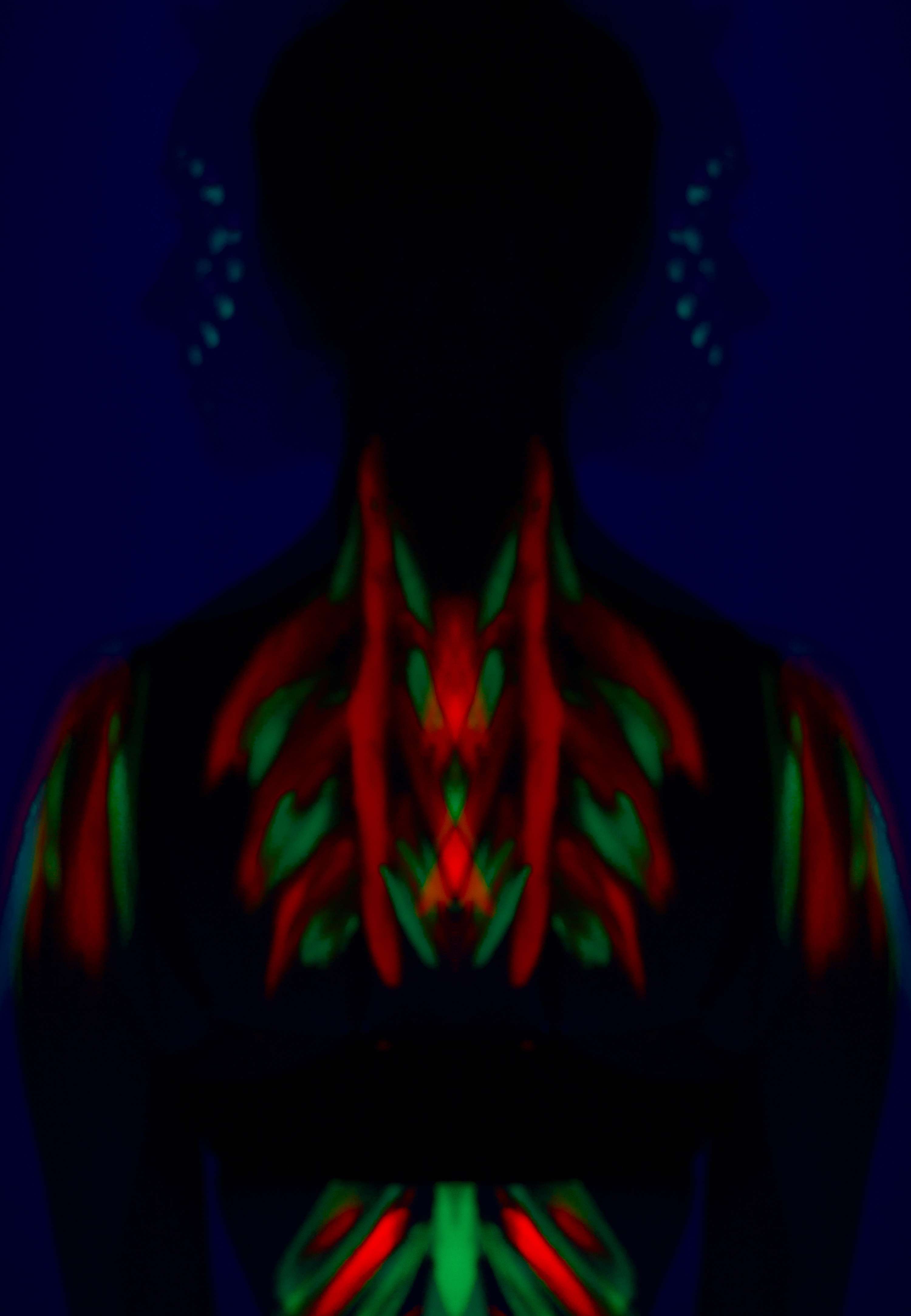 ‘Hidden Identities’ by Evelyn Havinga