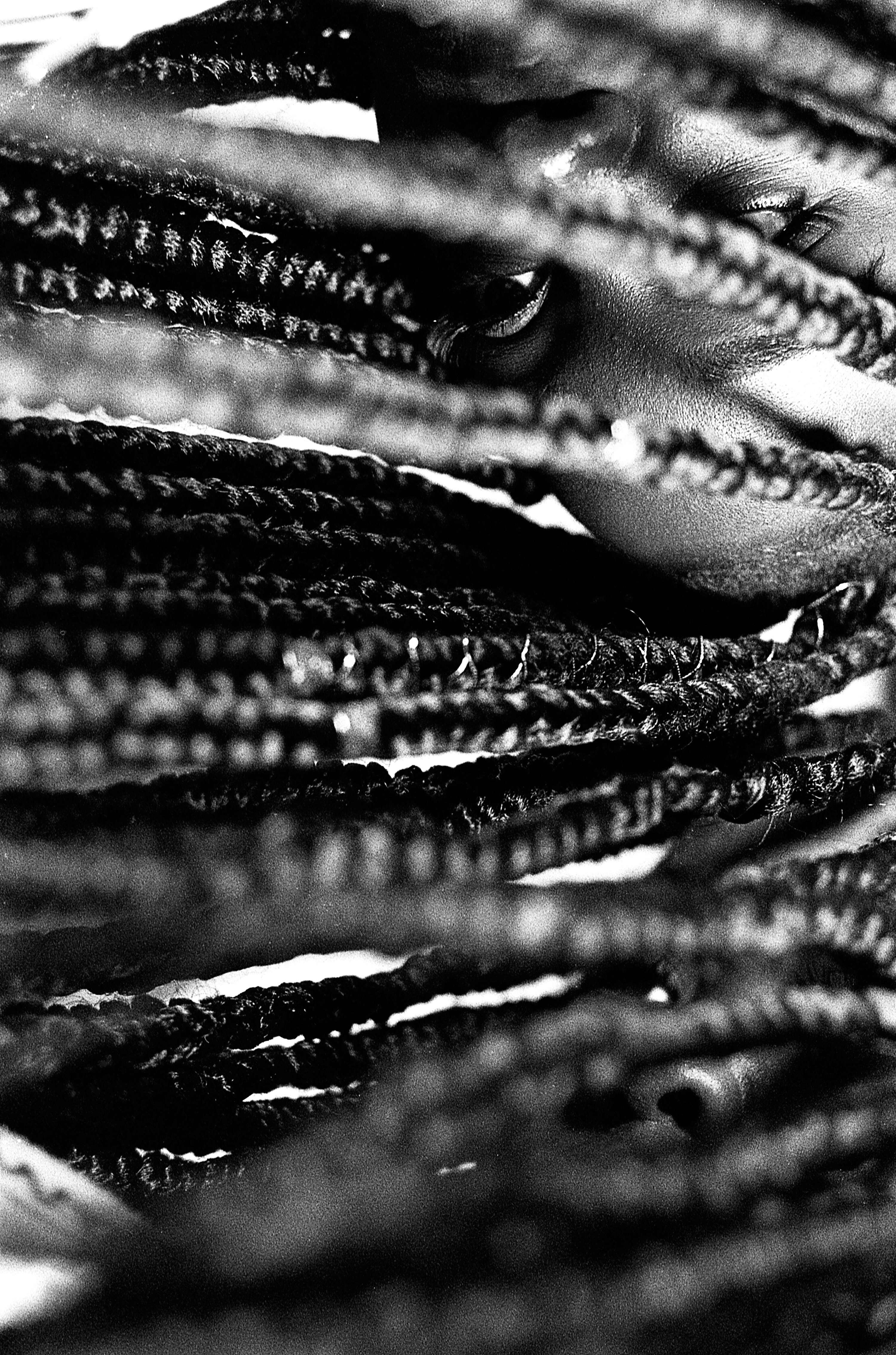 Braids by Elizabeth Seymour