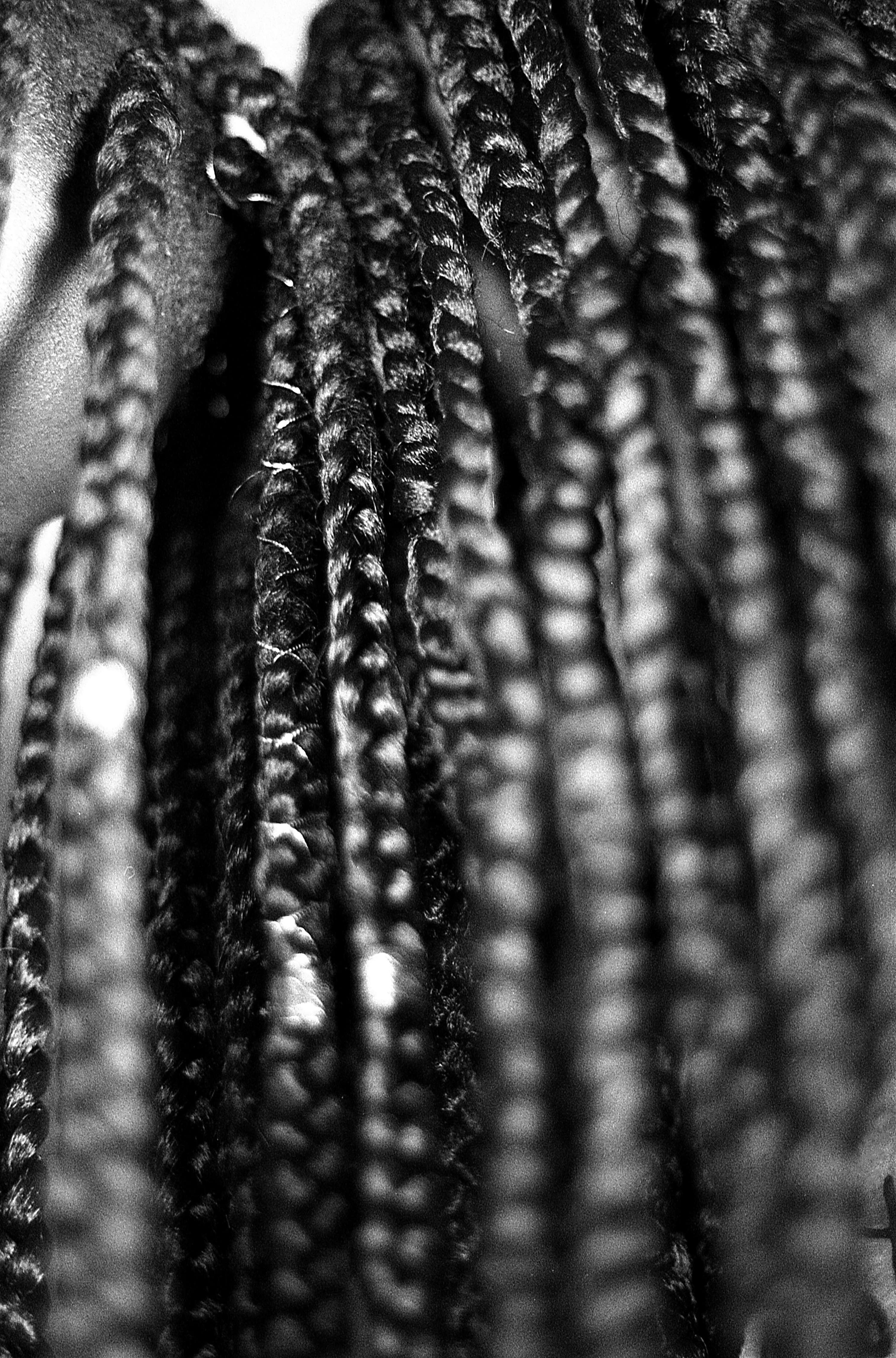 Braids by Elizabeth Seymour