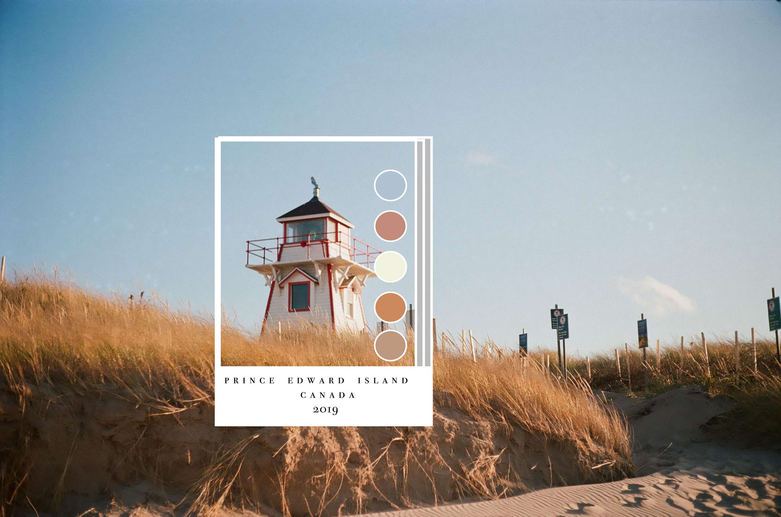C o l o r   P a l l e t by Marcella Macapani