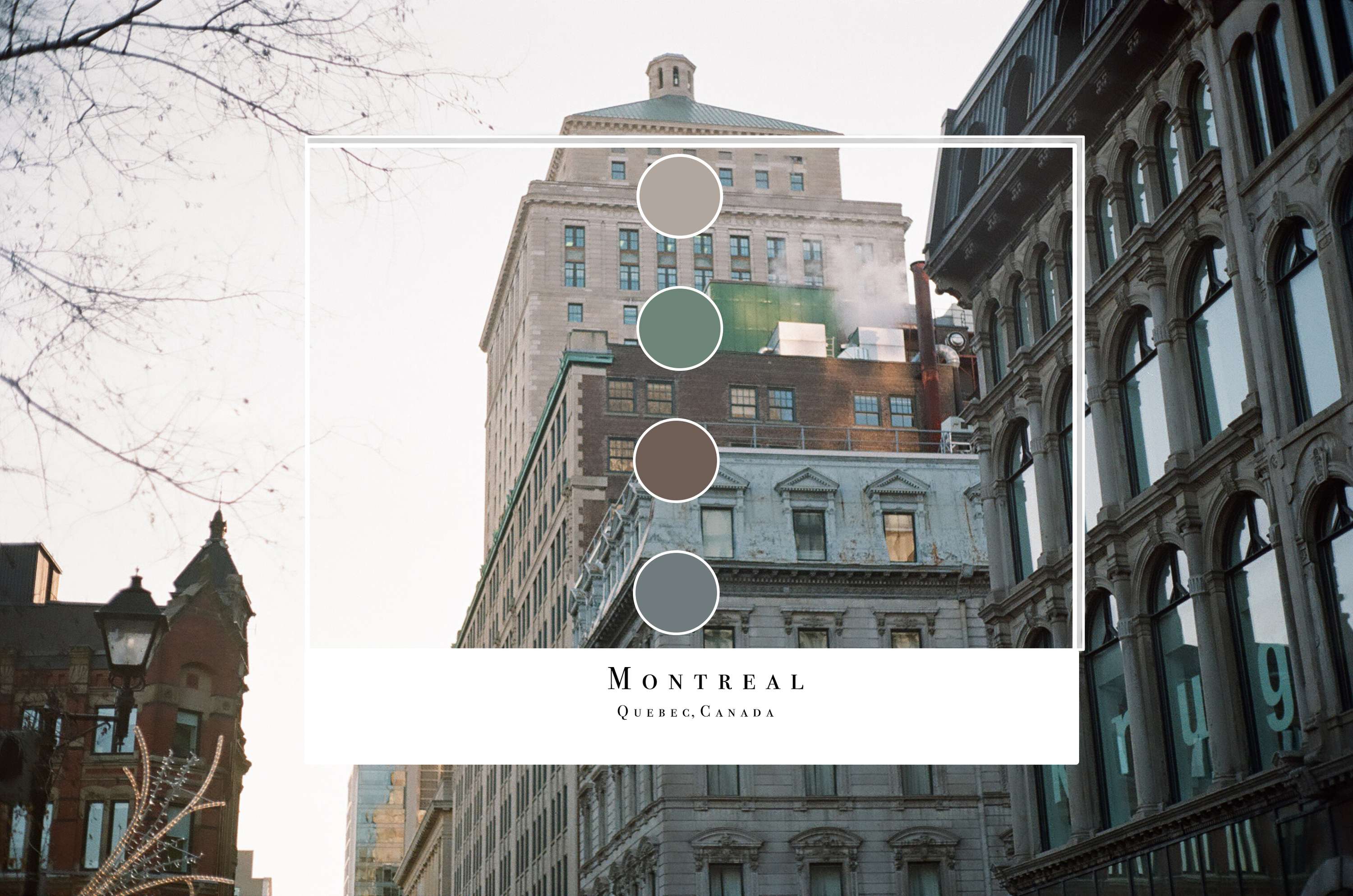 C o l o r   P a l l e t by Marcella Macapani
