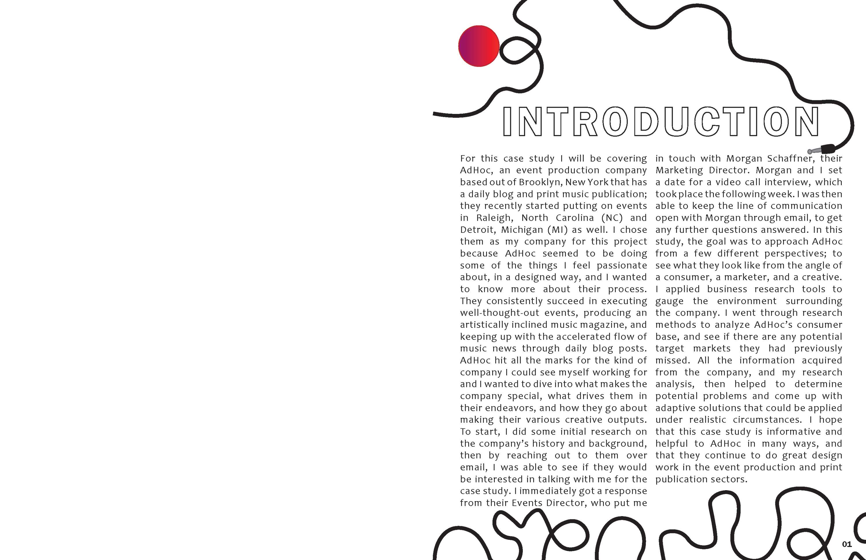 ADHOC Case Study by Karina Abbott