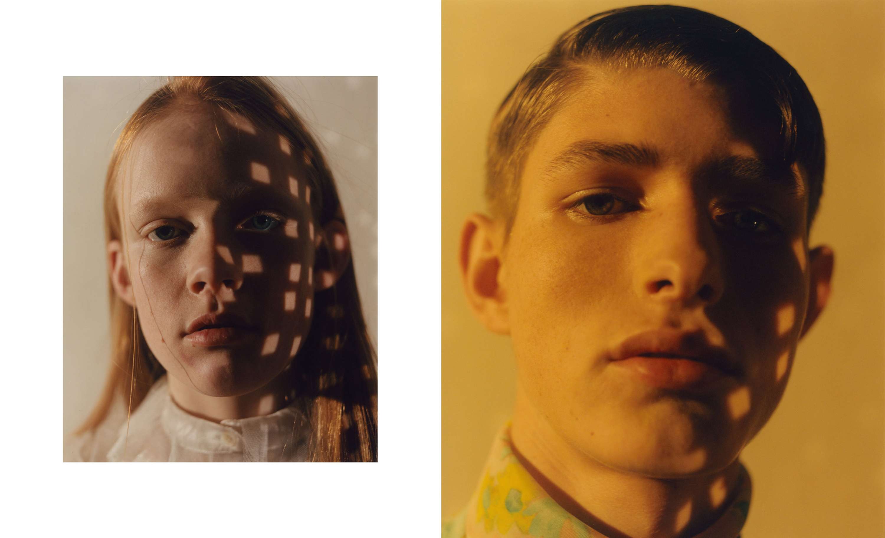 Document Journal Moonglows by Alice Jacobs