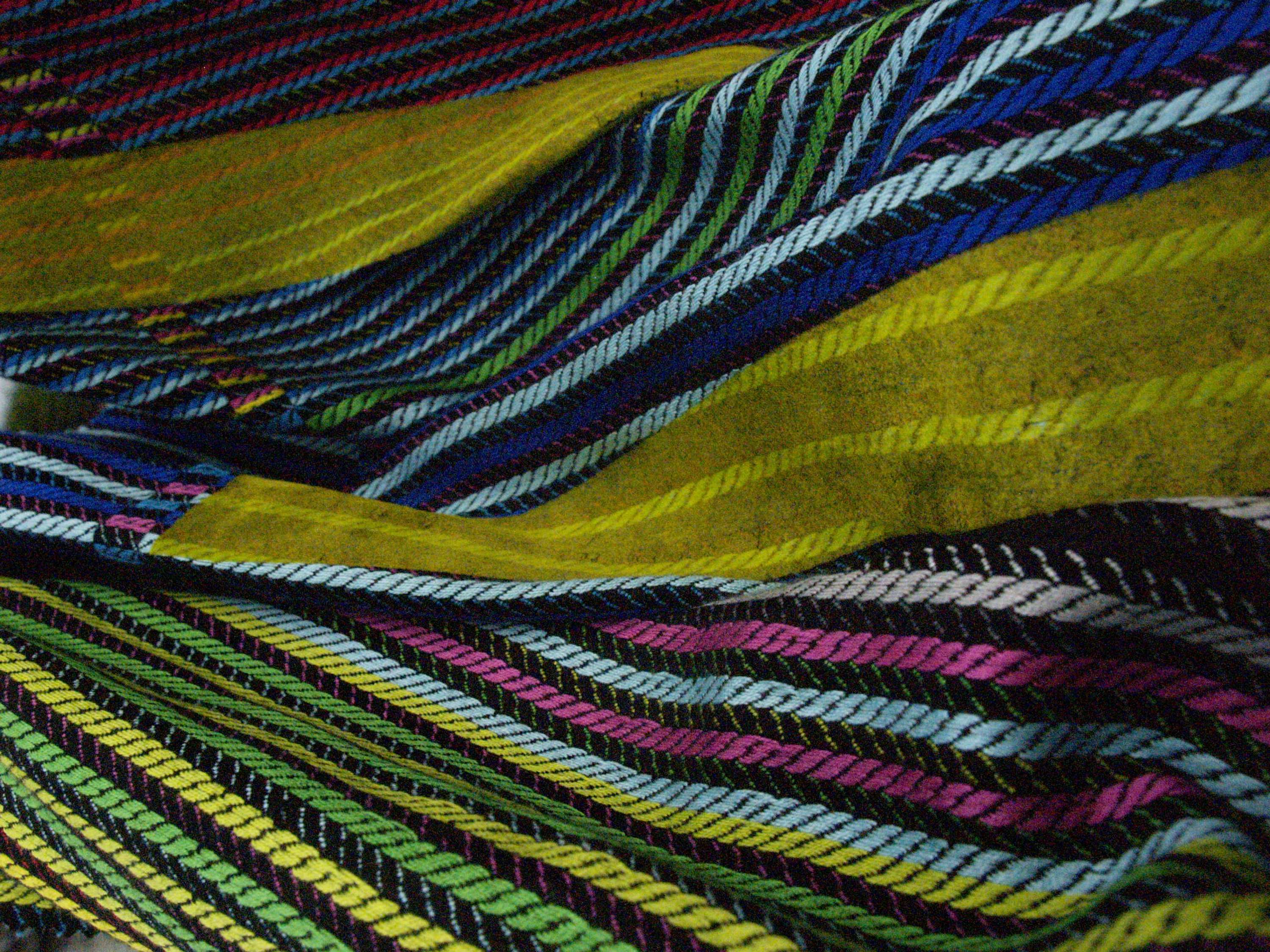Colour In Motion by Sophie Crighton