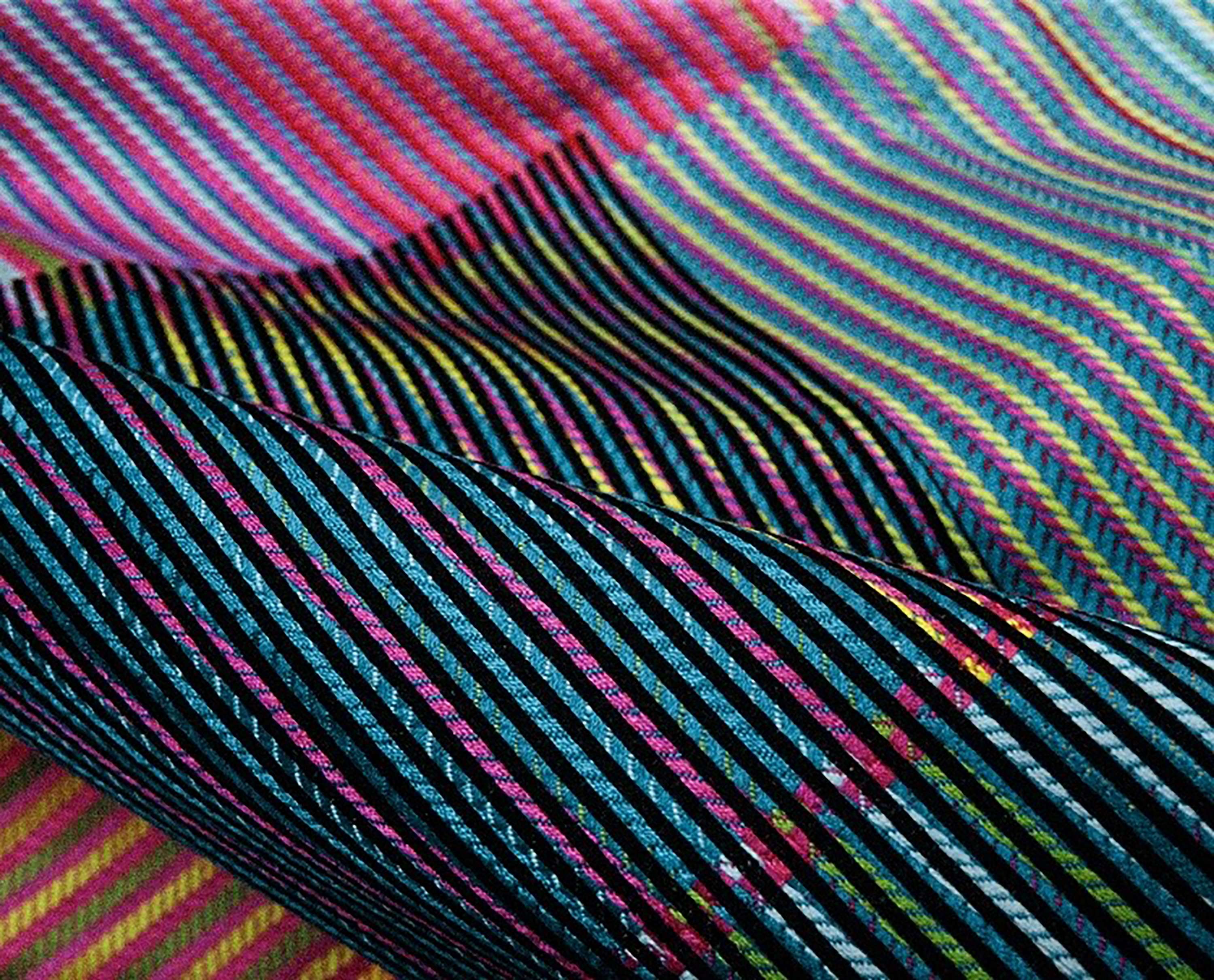 Colour In Motion by Sophie Crighton