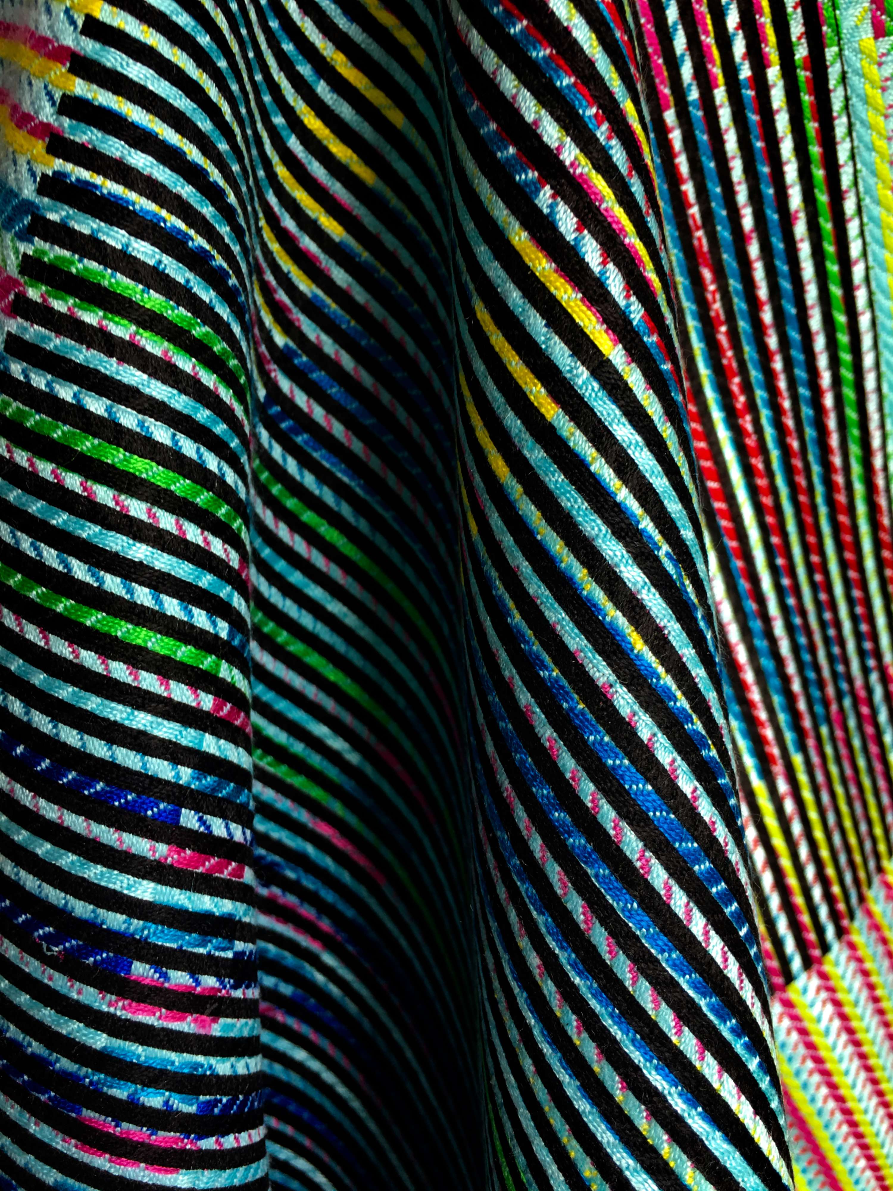Colour In Motion by Sophie Crighton
