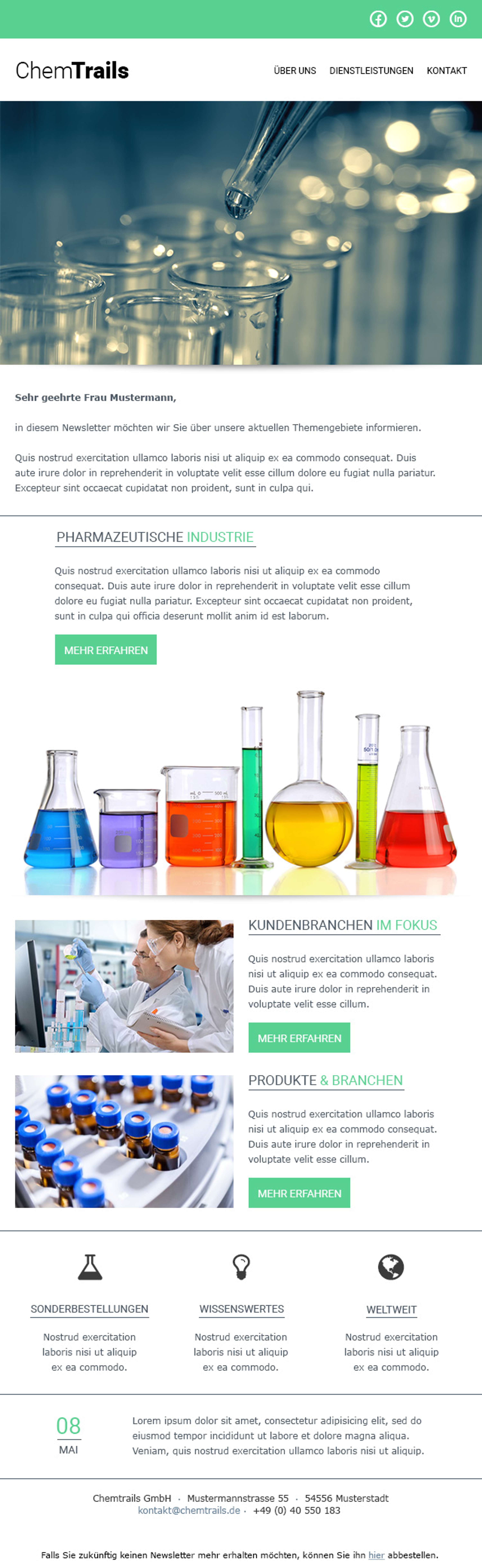 Newsletters by Vasco Batista