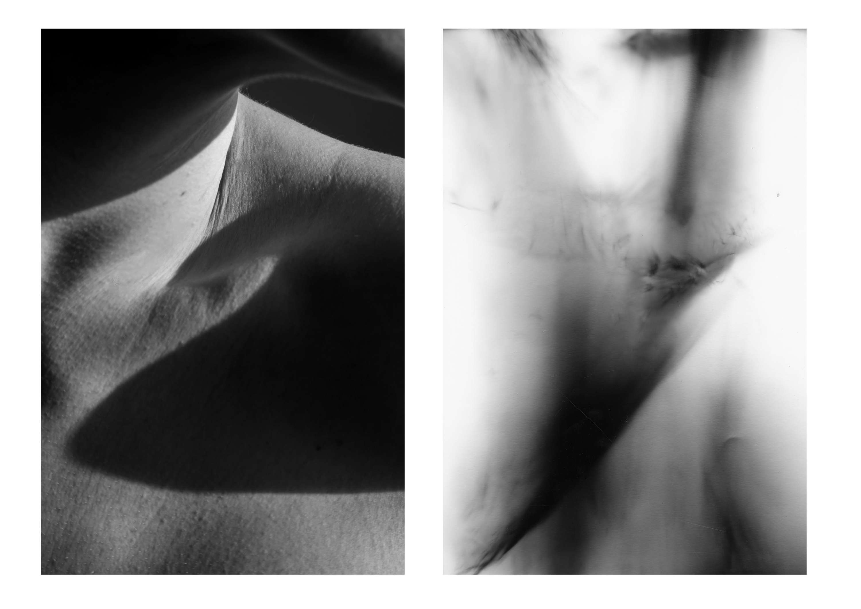 OLFACTIC MEMORIES by Joshua Bareham