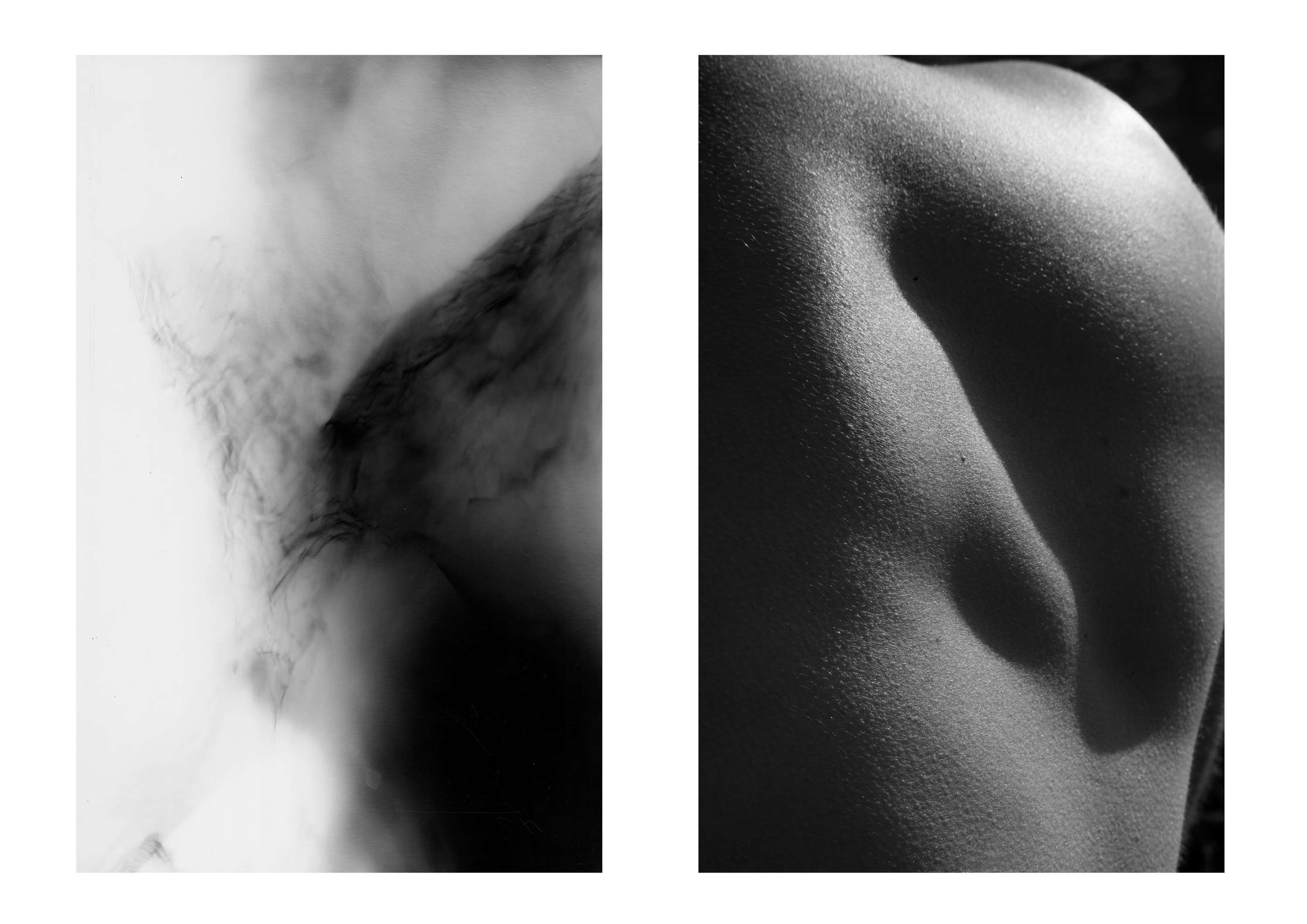 OLFACTIC MEMORIES by Joshua Bareham
