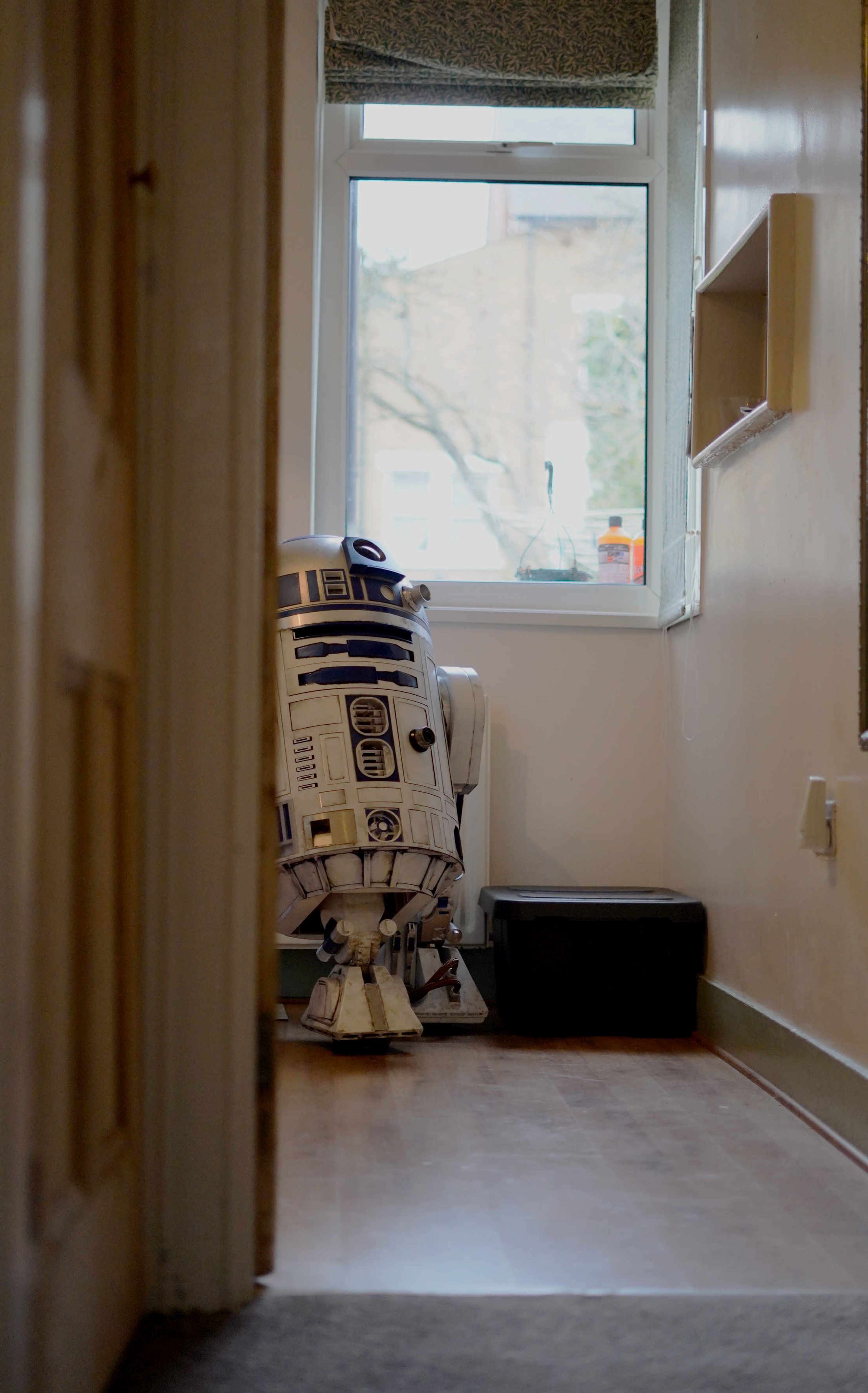 At Home with the Droids by Harry Rose