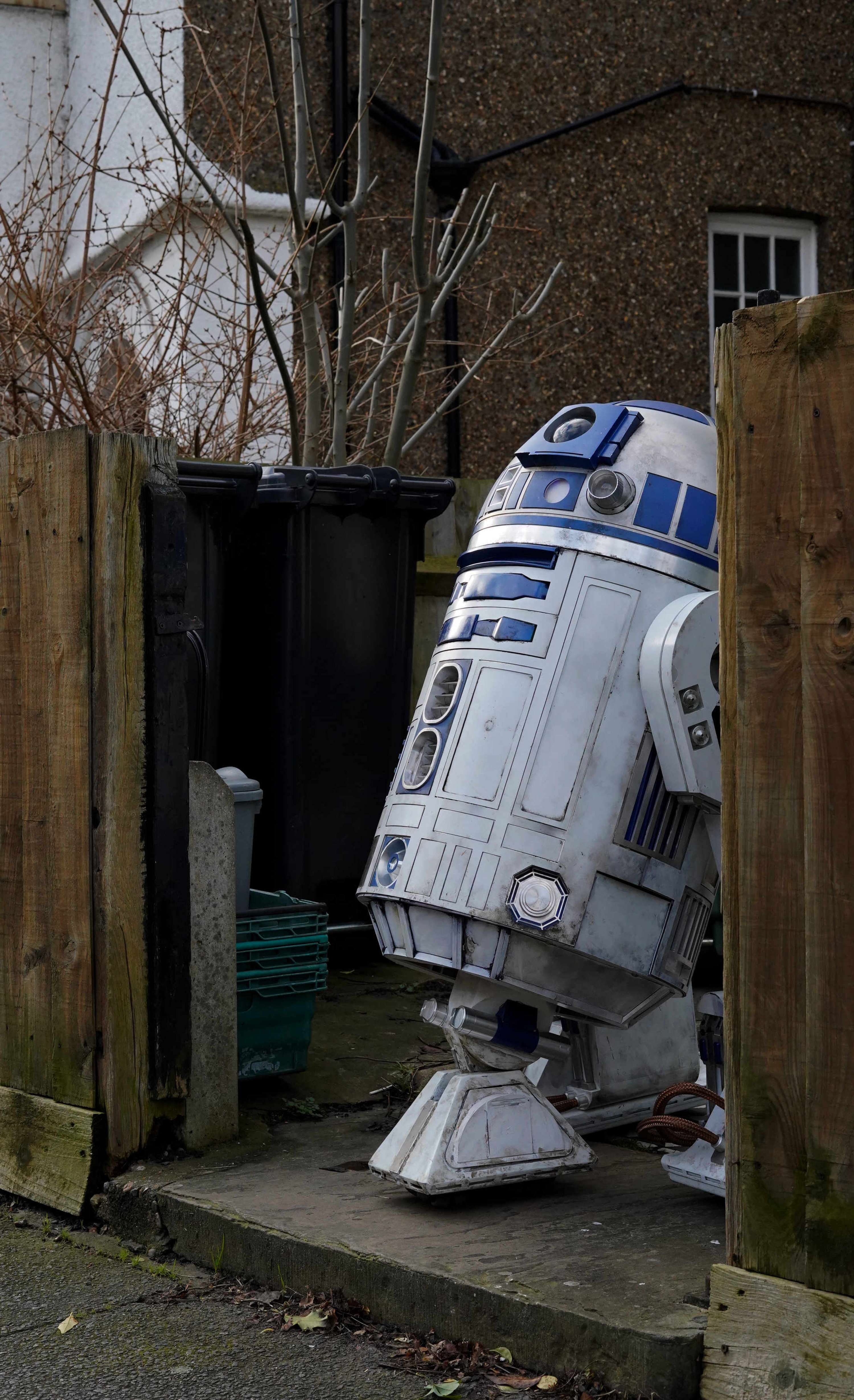 At Home with the Droids by Harry Rose