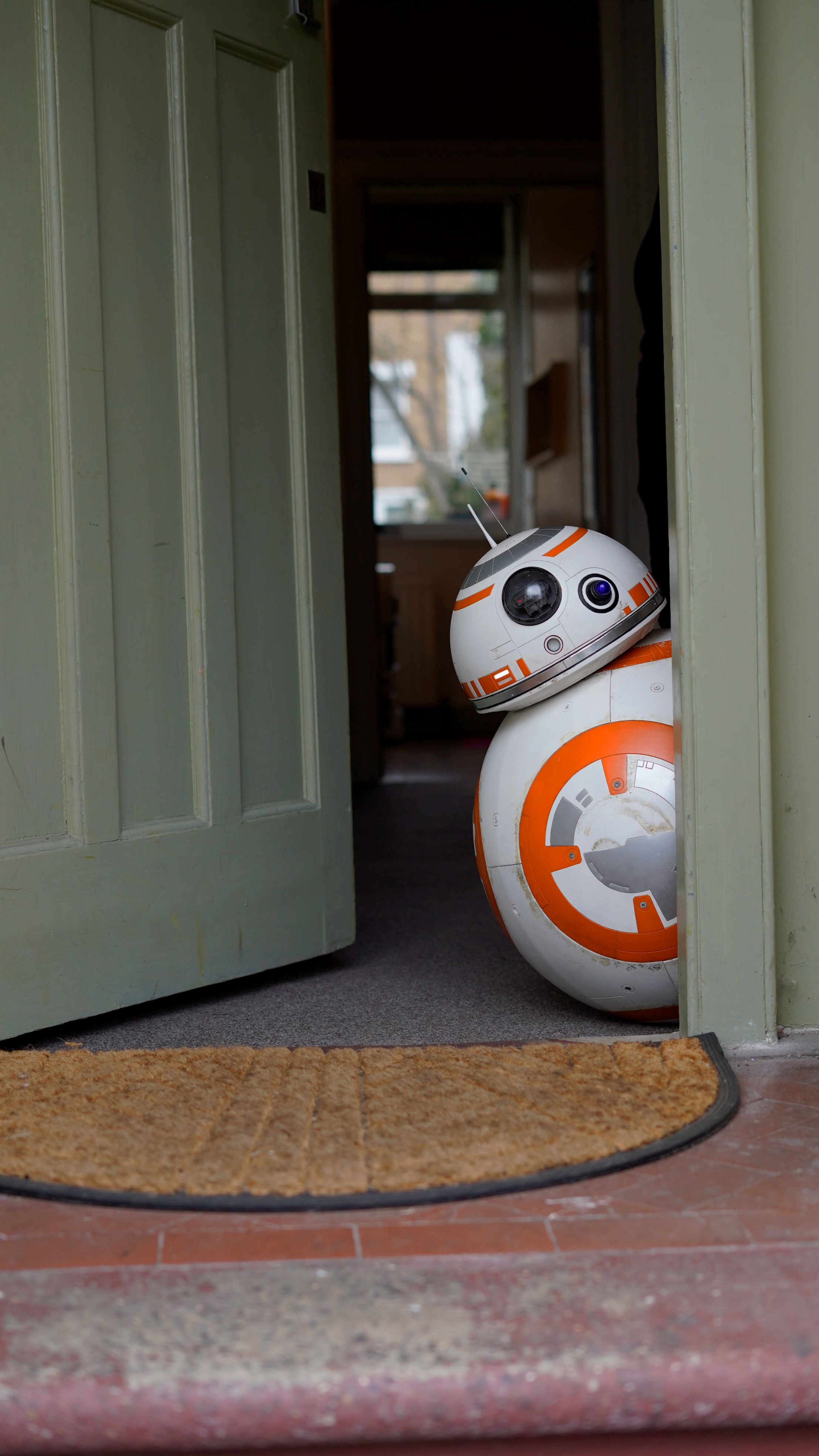 At Home with the Droids by Harry Rose