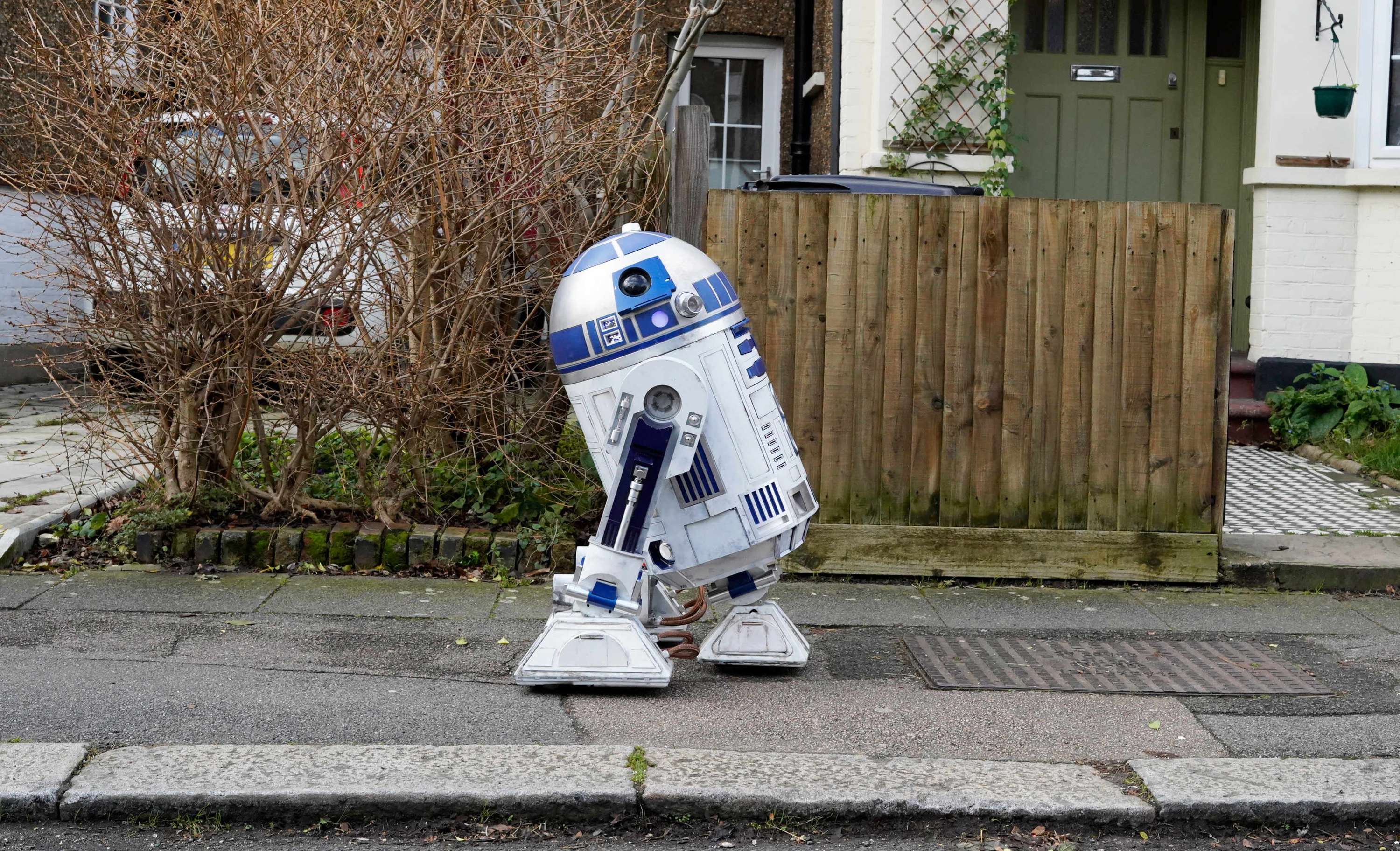 At Home with the Droids by Harry Rose