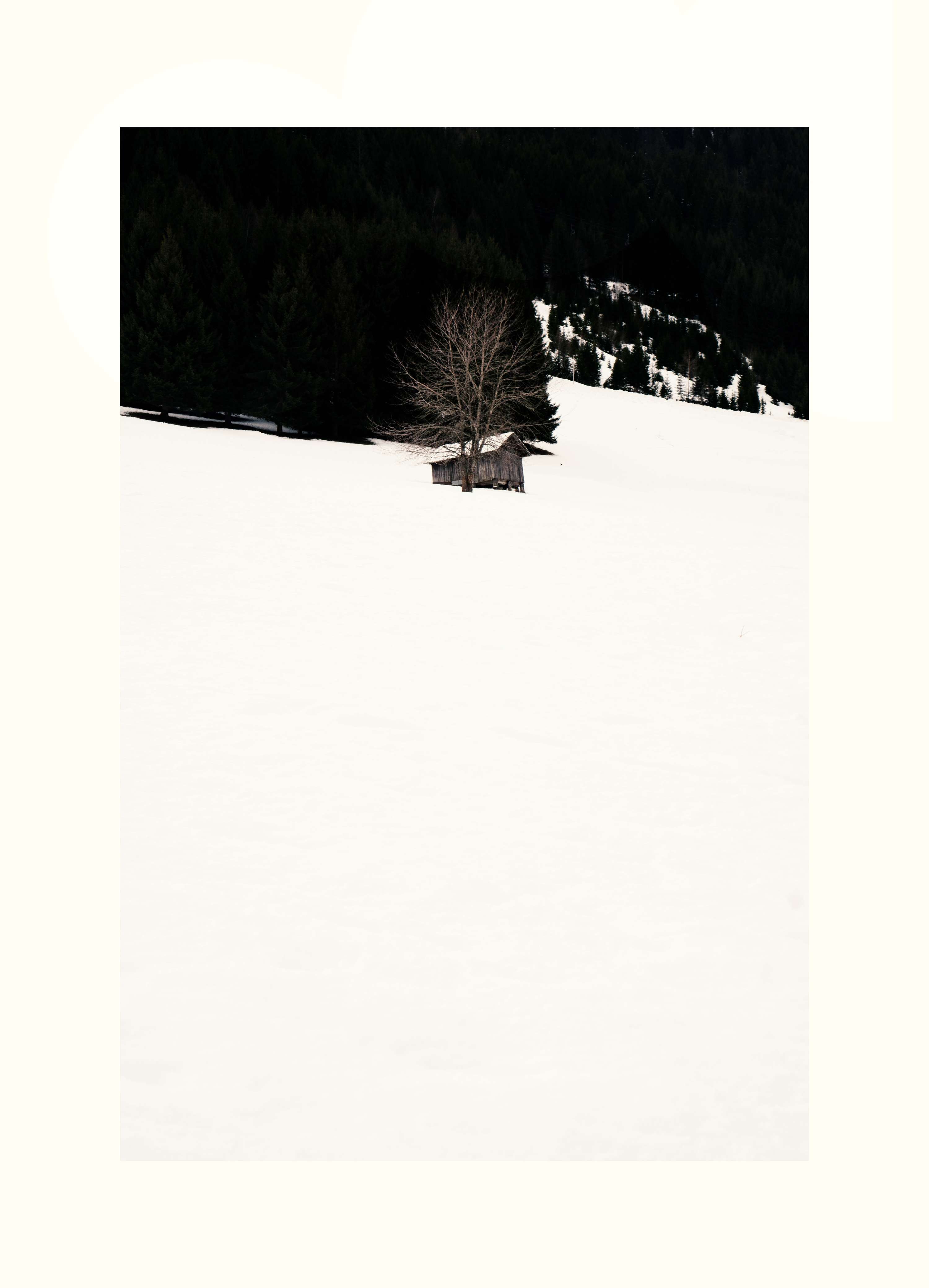 Frame the snow by Tran .