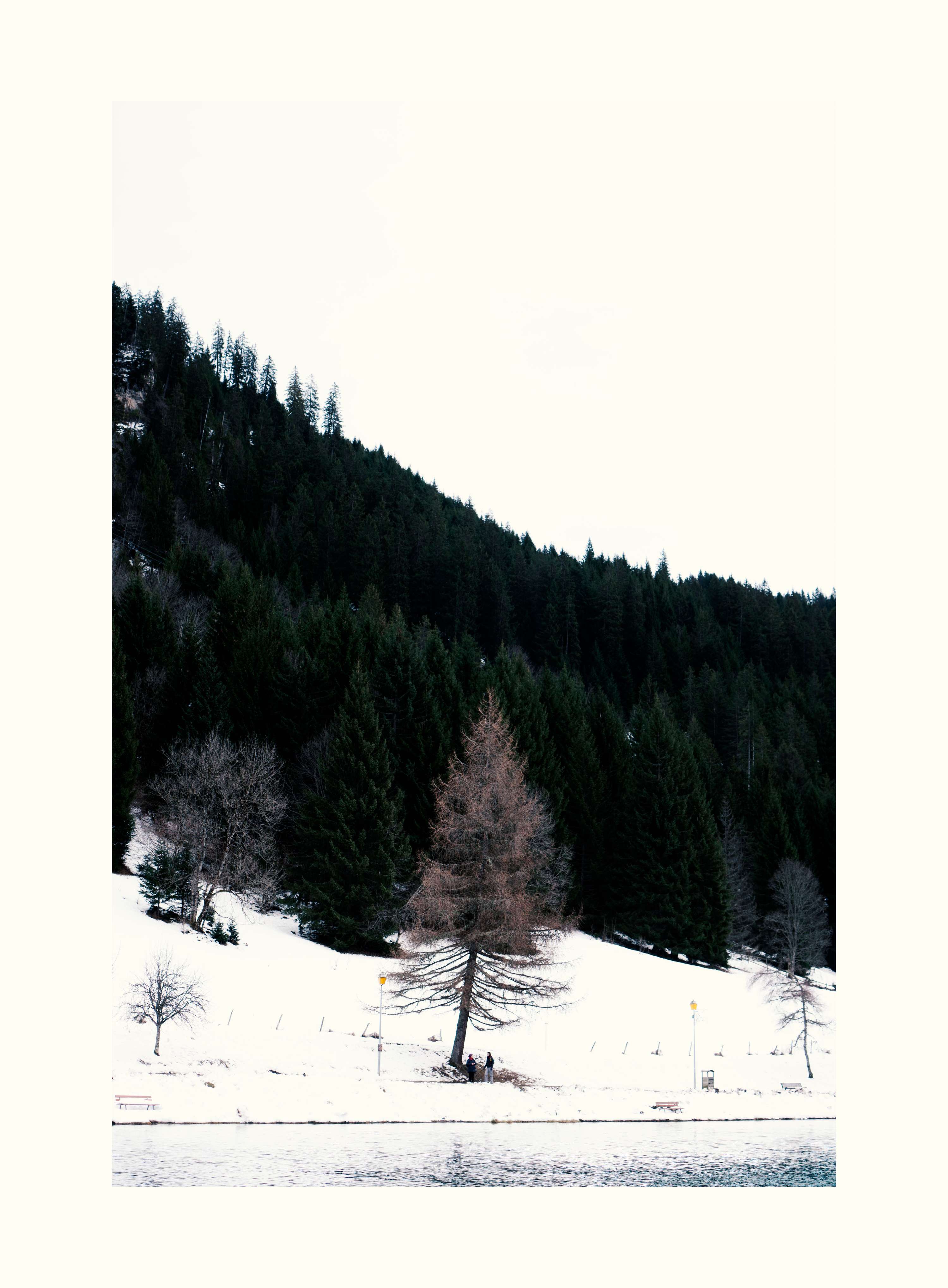 Frame the snow by Tran .
