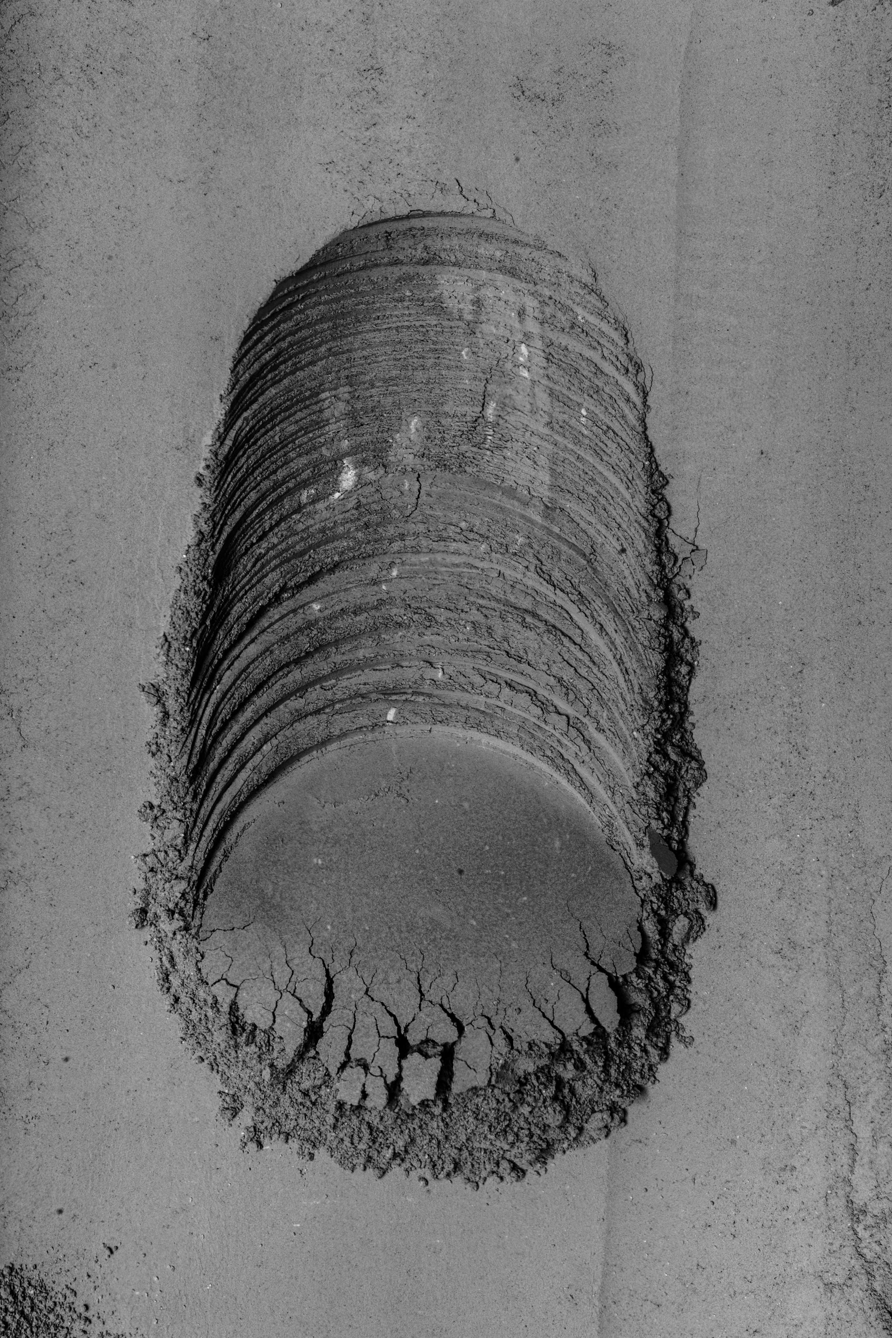 Cement by Enrico Policardo