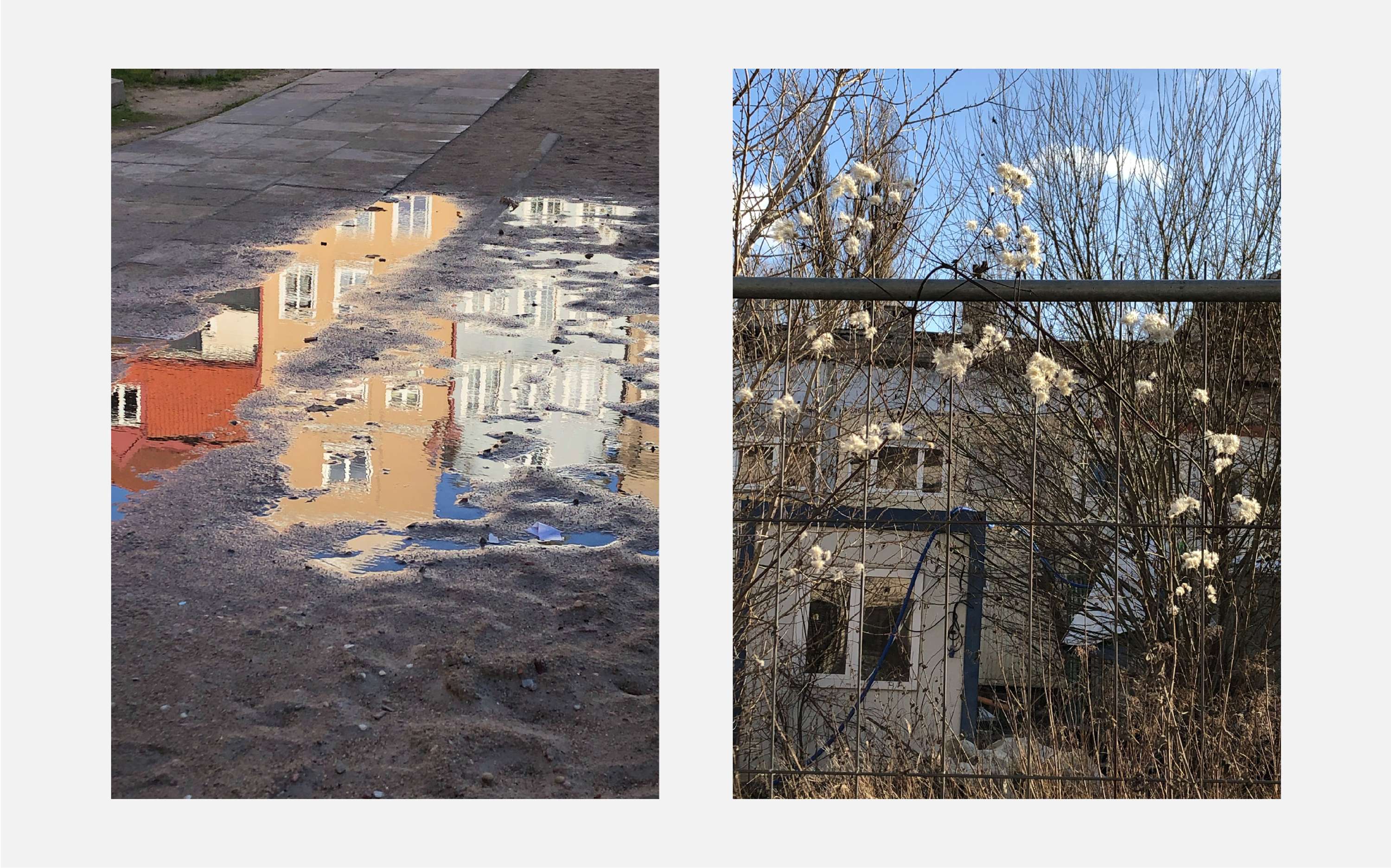 Common Places by Will Edgecombe