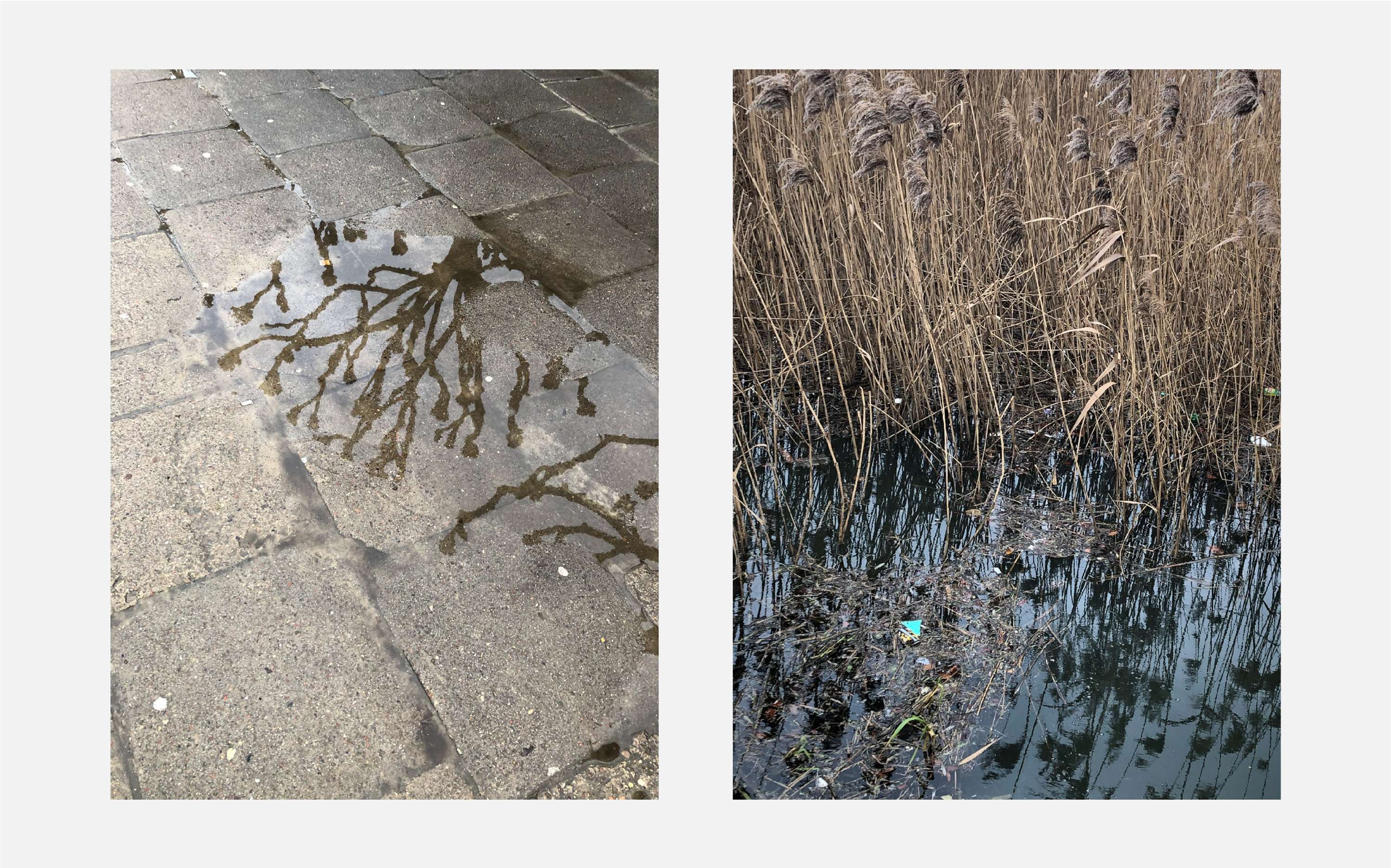 Common Places by Will Edgecombe