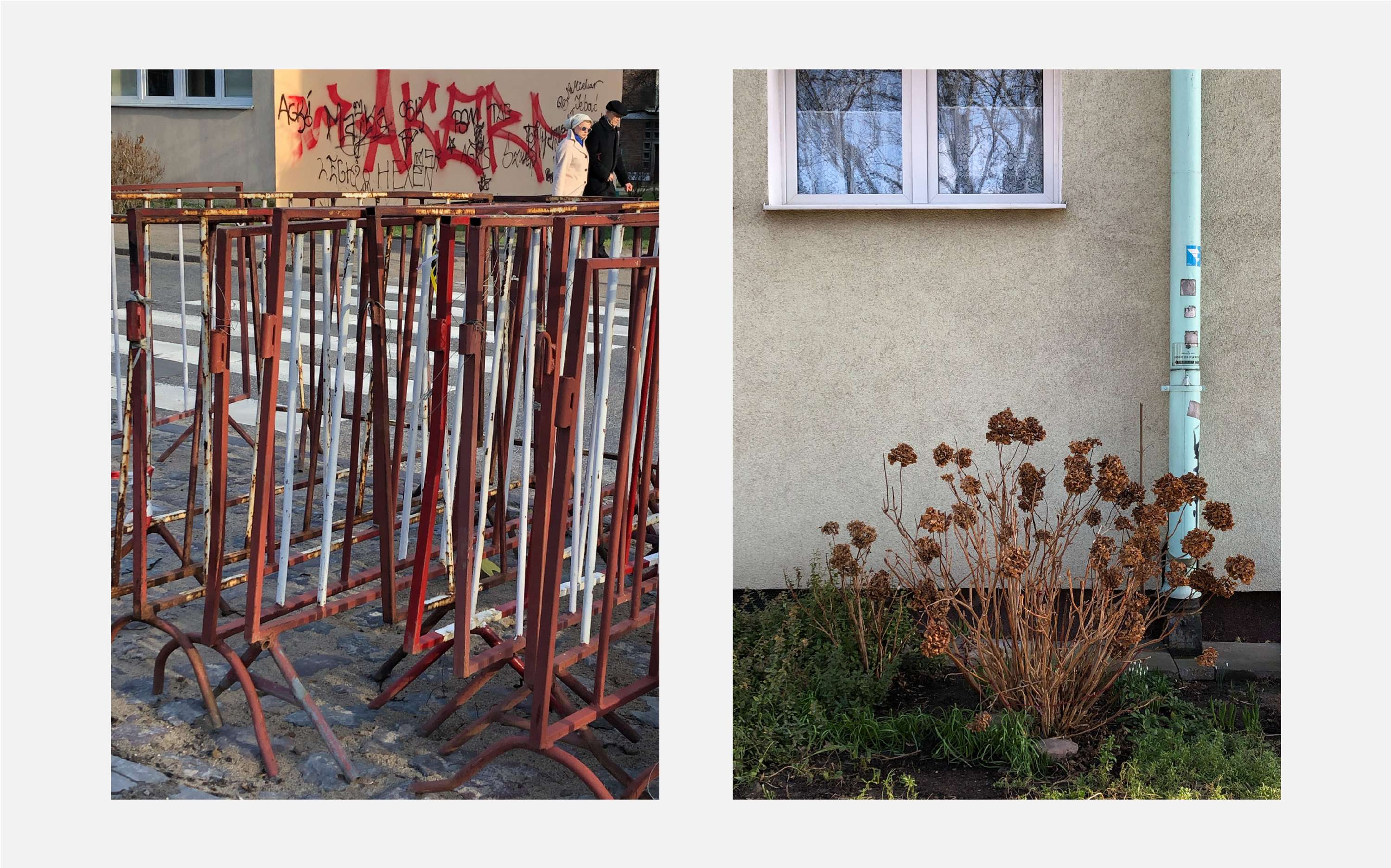 Common Places by Will Edgecombe