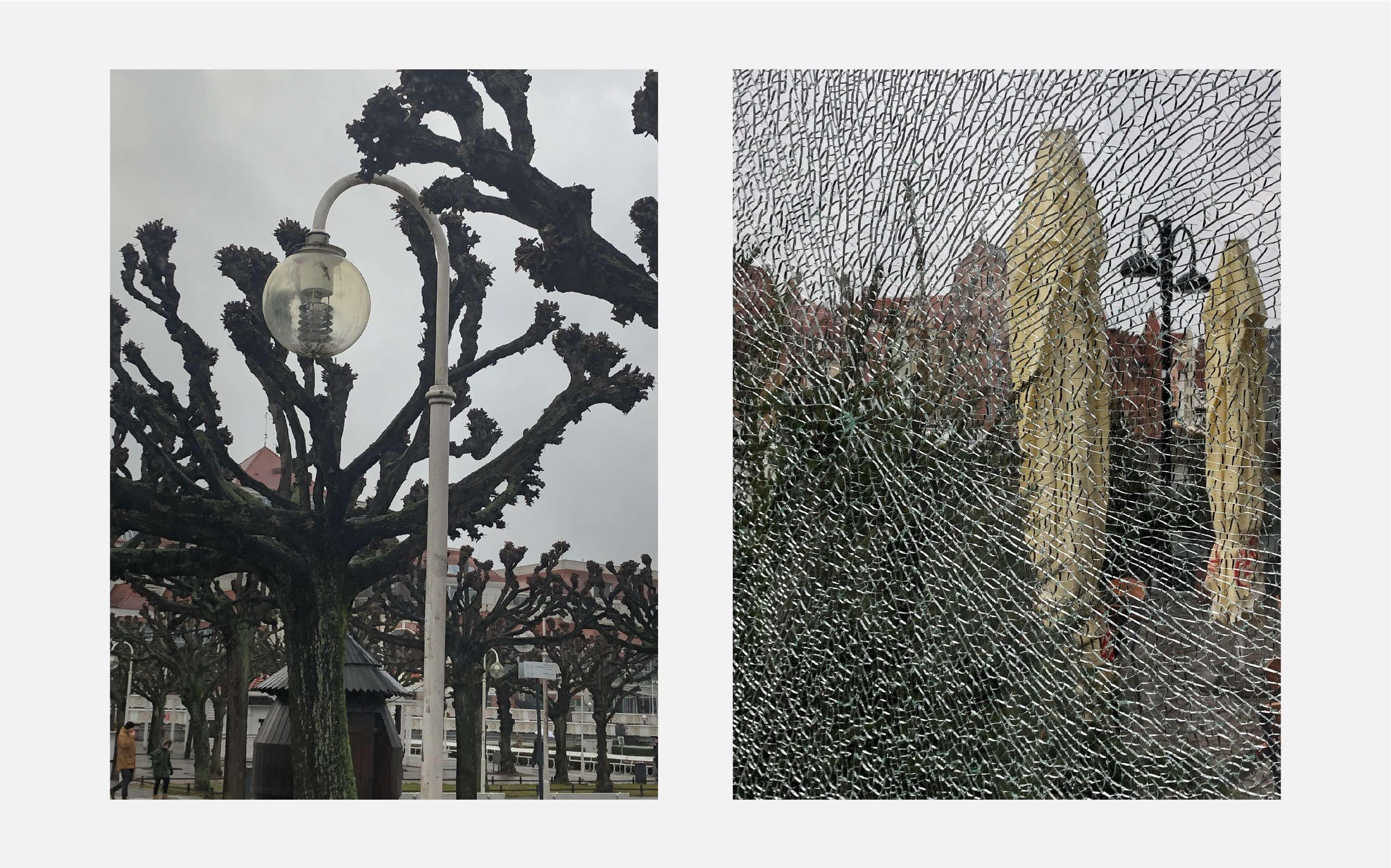 Common Places by Will Edgecombe